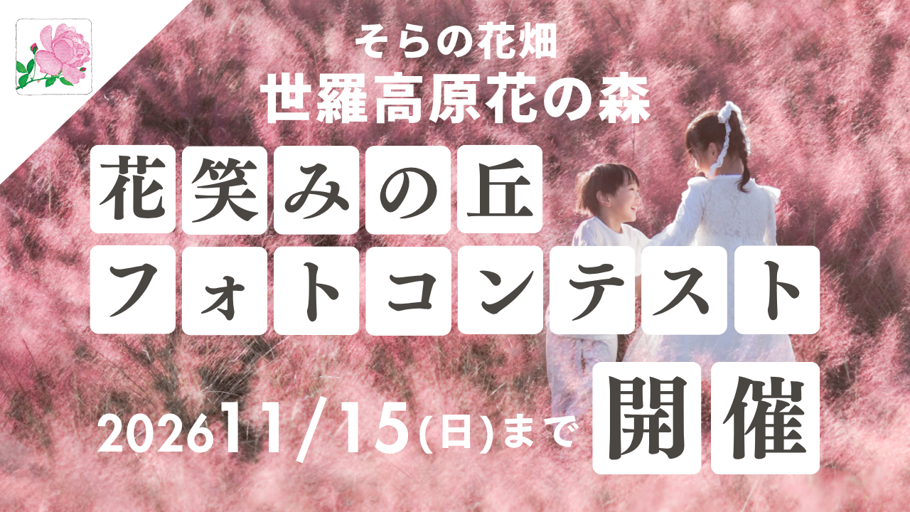 【広島／世羅】新フォトコンテスト開催 ミューレンベルギアが咲く「花笑みの丘」《そらの花畑 世羅高原花の森》