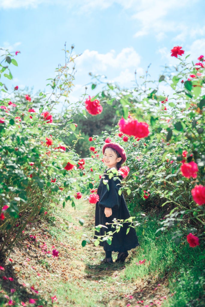 世羅高原花の森の秋ローズガーデン