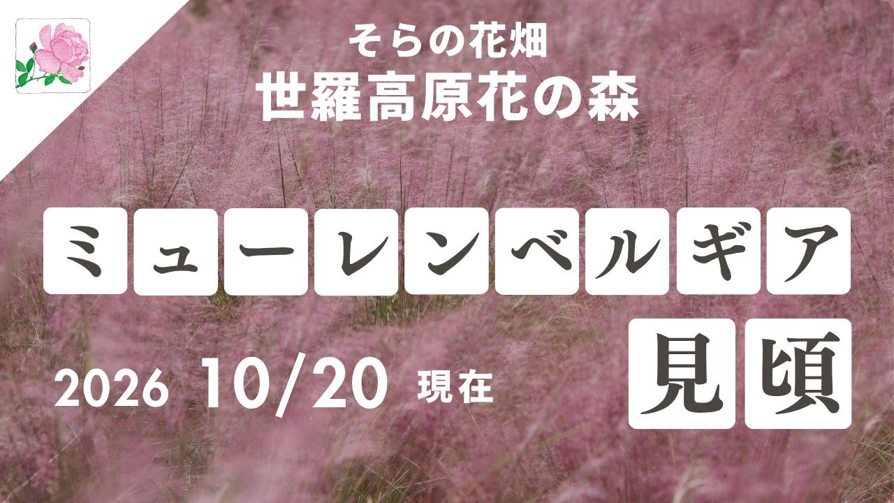 イトーキ、高機能展示ケース「Artivista(アルティビスタ)」の紹介動画を公開