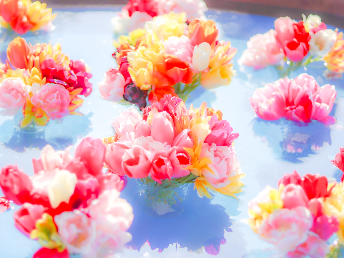 フローティングチューリップ