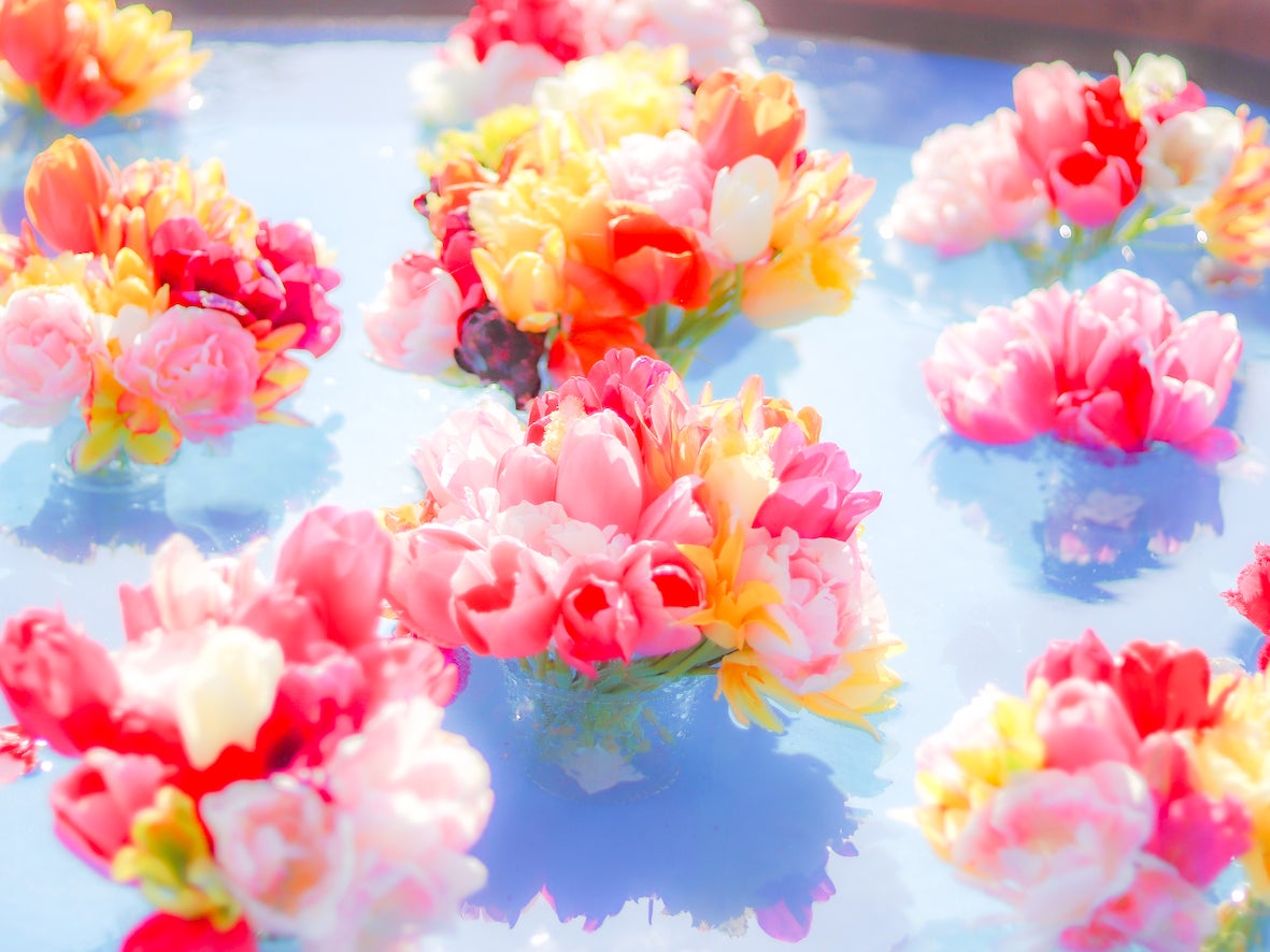 フローティングチューリップ