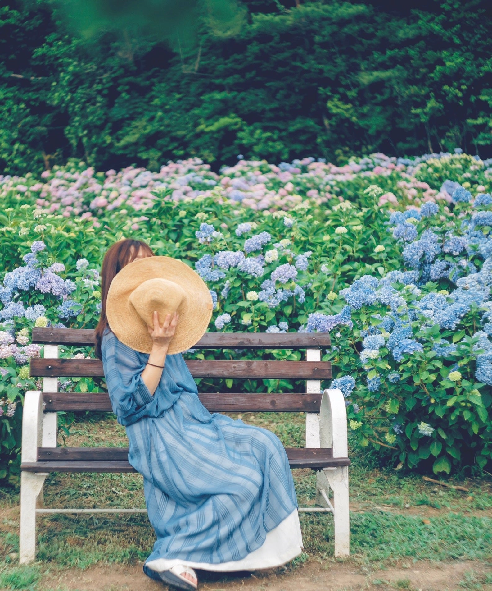 ノスタルジックな雰囲気も