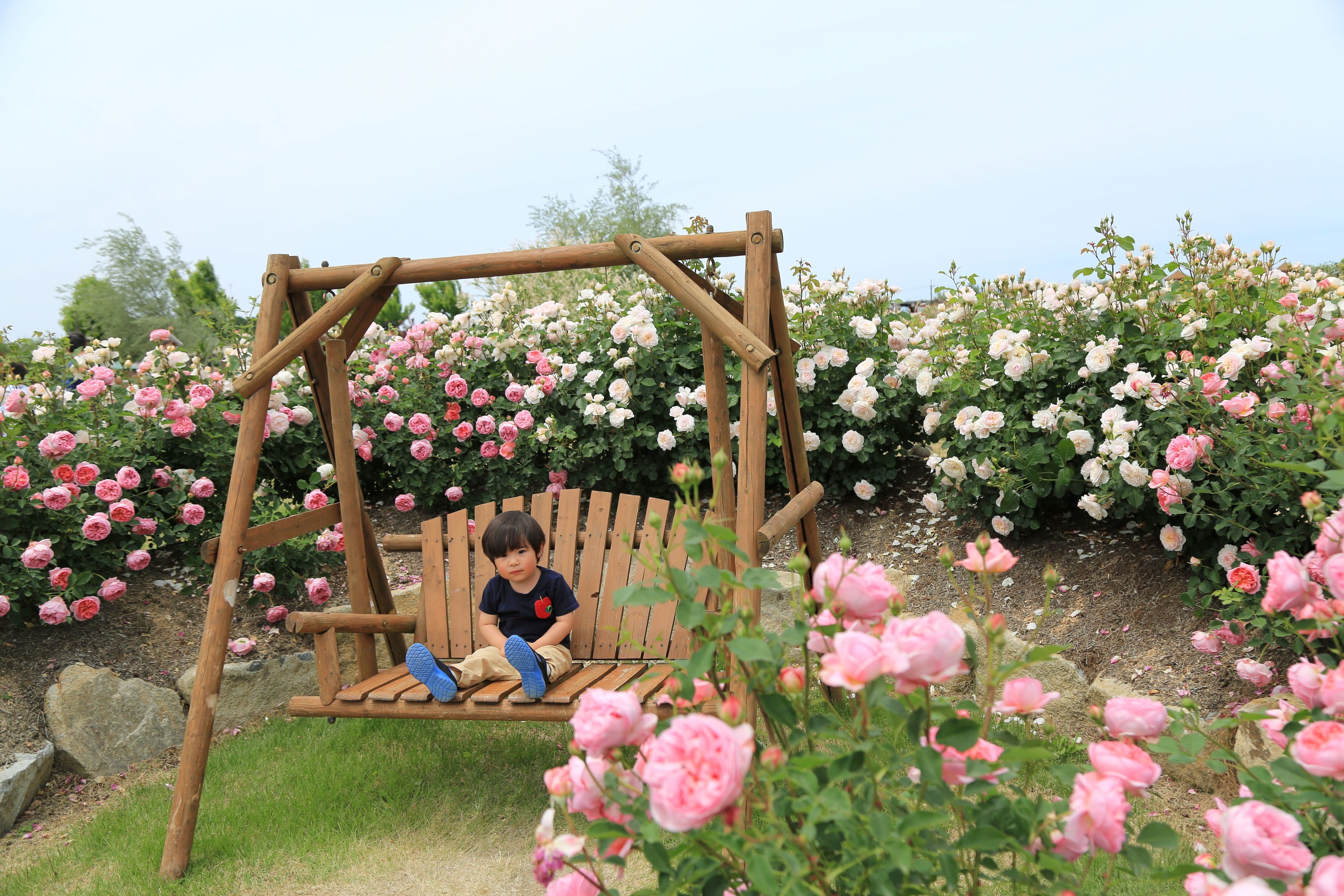 ばらに囲まれて記念撮影ができるフォトスポット