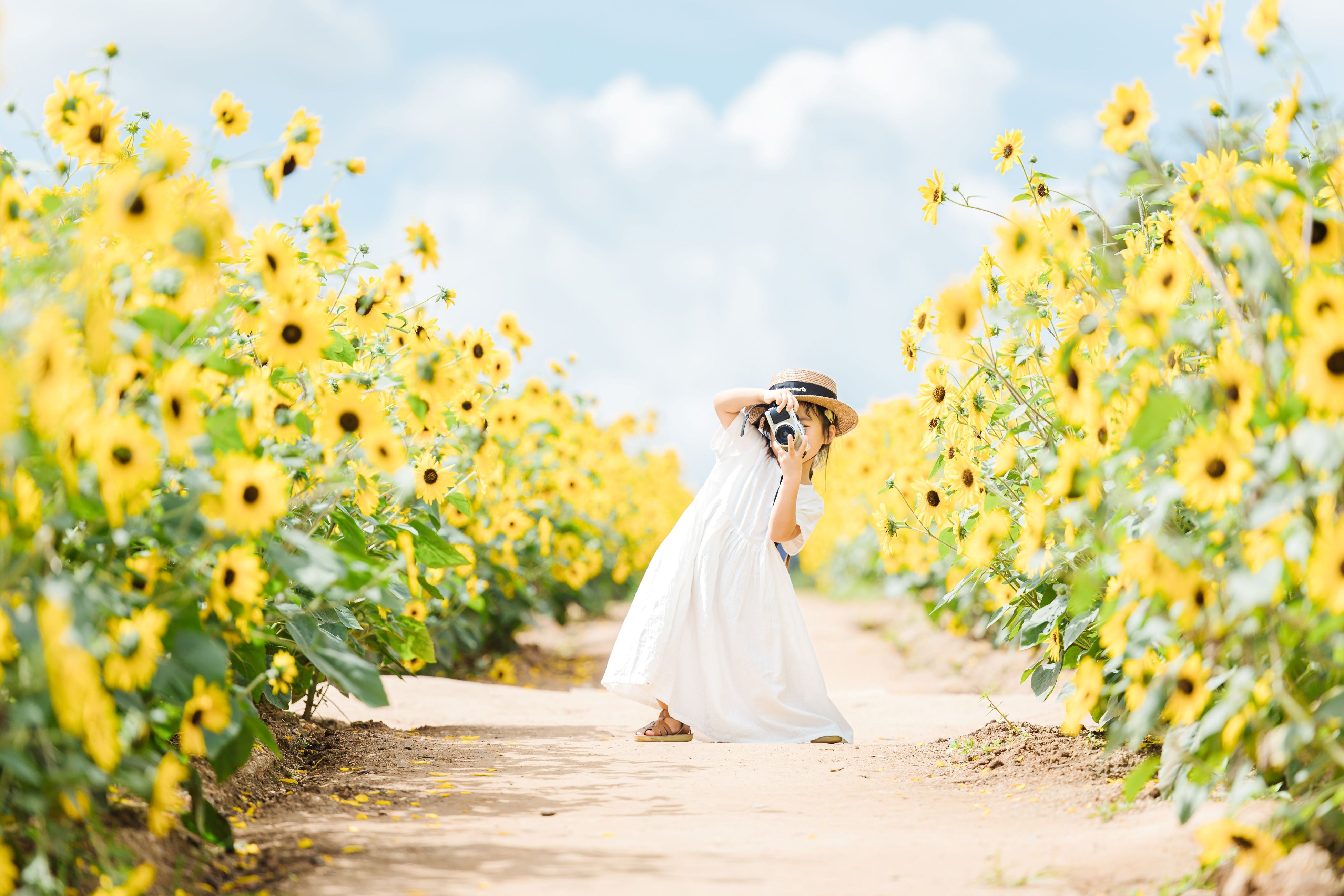 ひまわりに囲まれて写真撮影