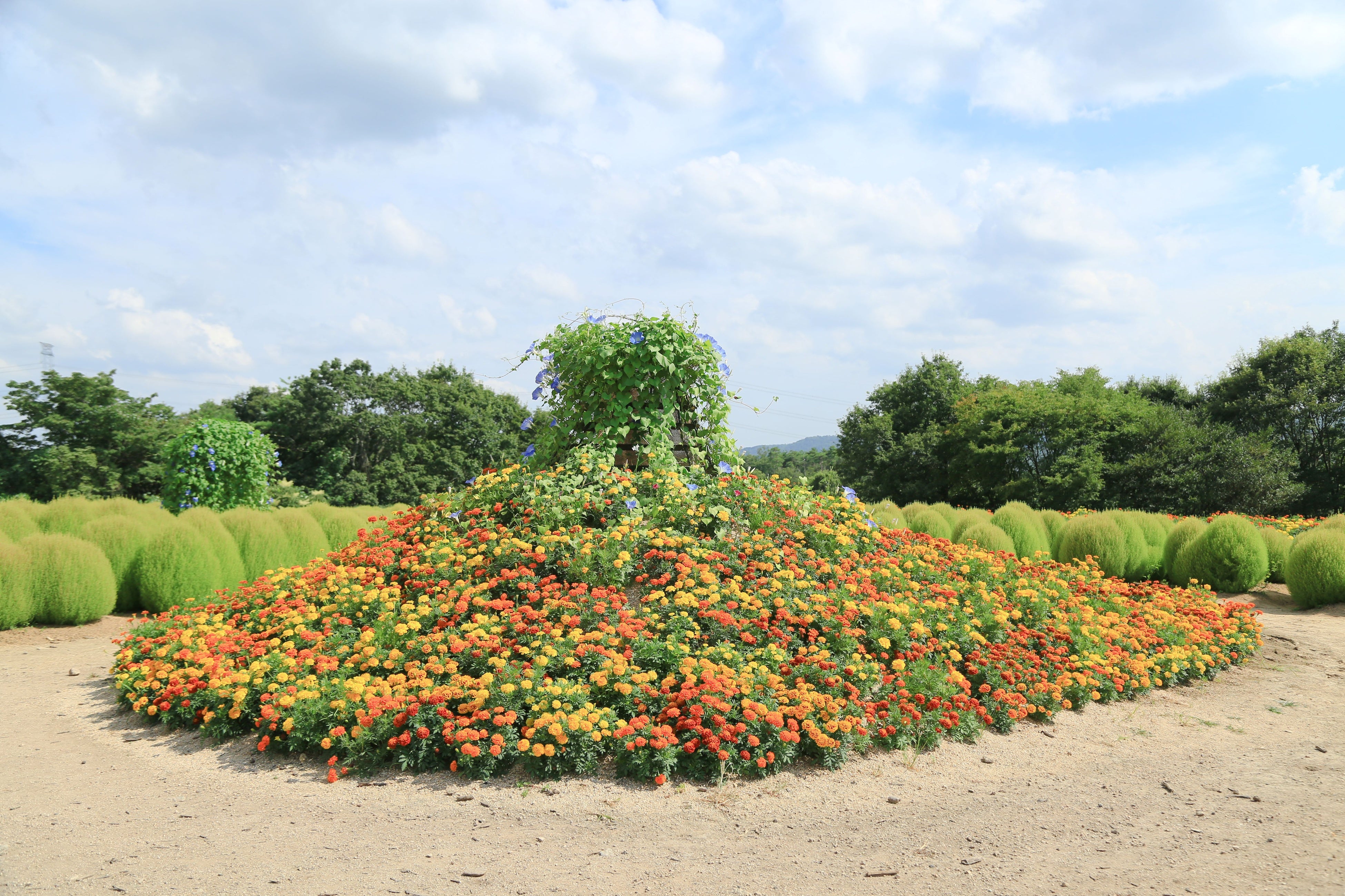 顔を出すと花のドレスのように見えるフォトスポット