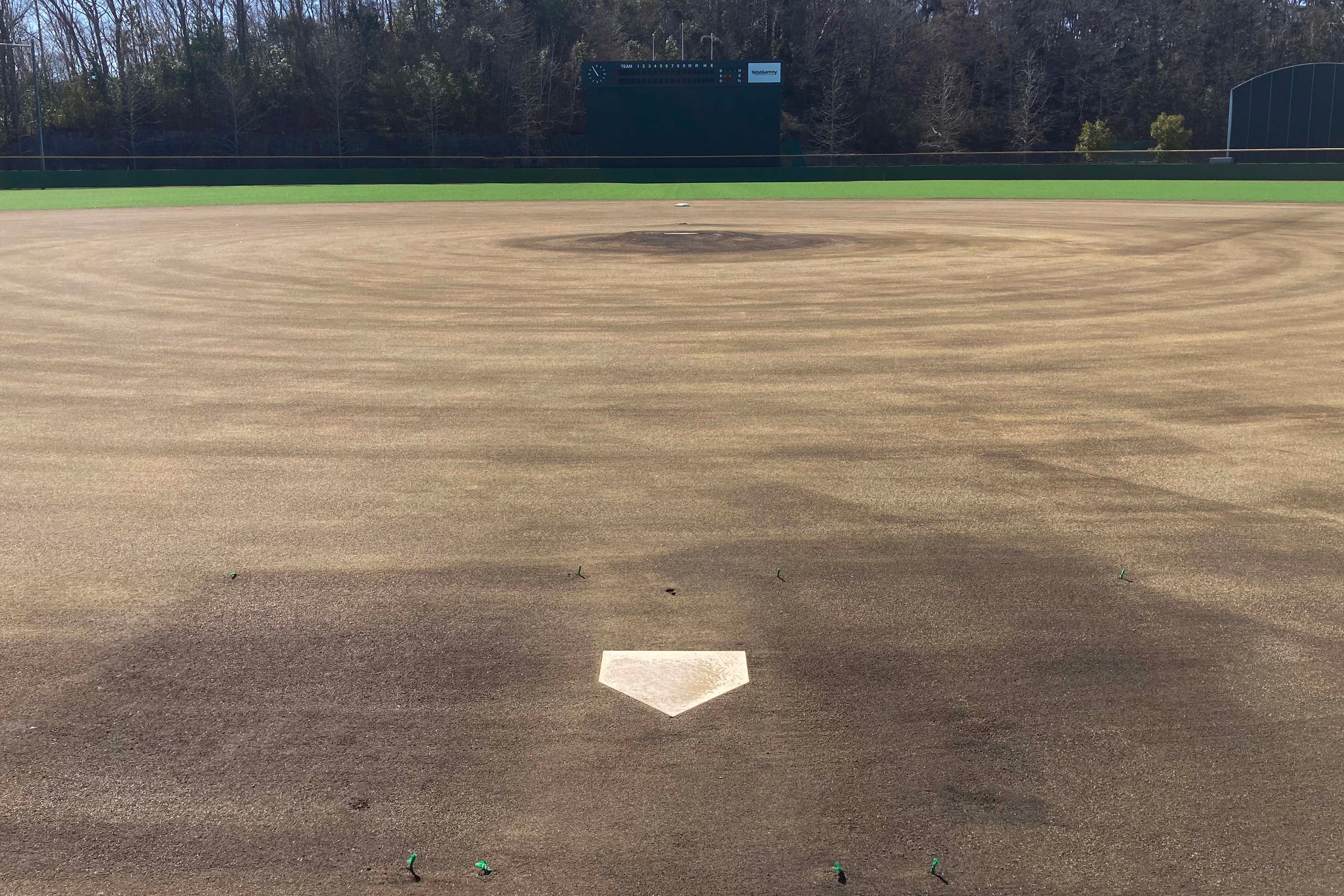 専用クレイで整備したバッターボックス