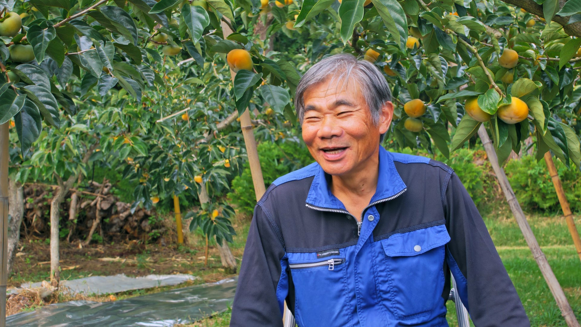 生産者など文化を支える人にインタビュー