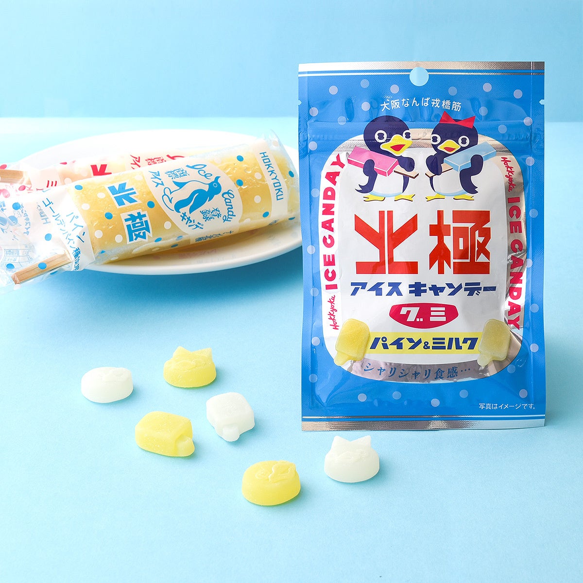 活動歴および当時の関連ビジュアル記録