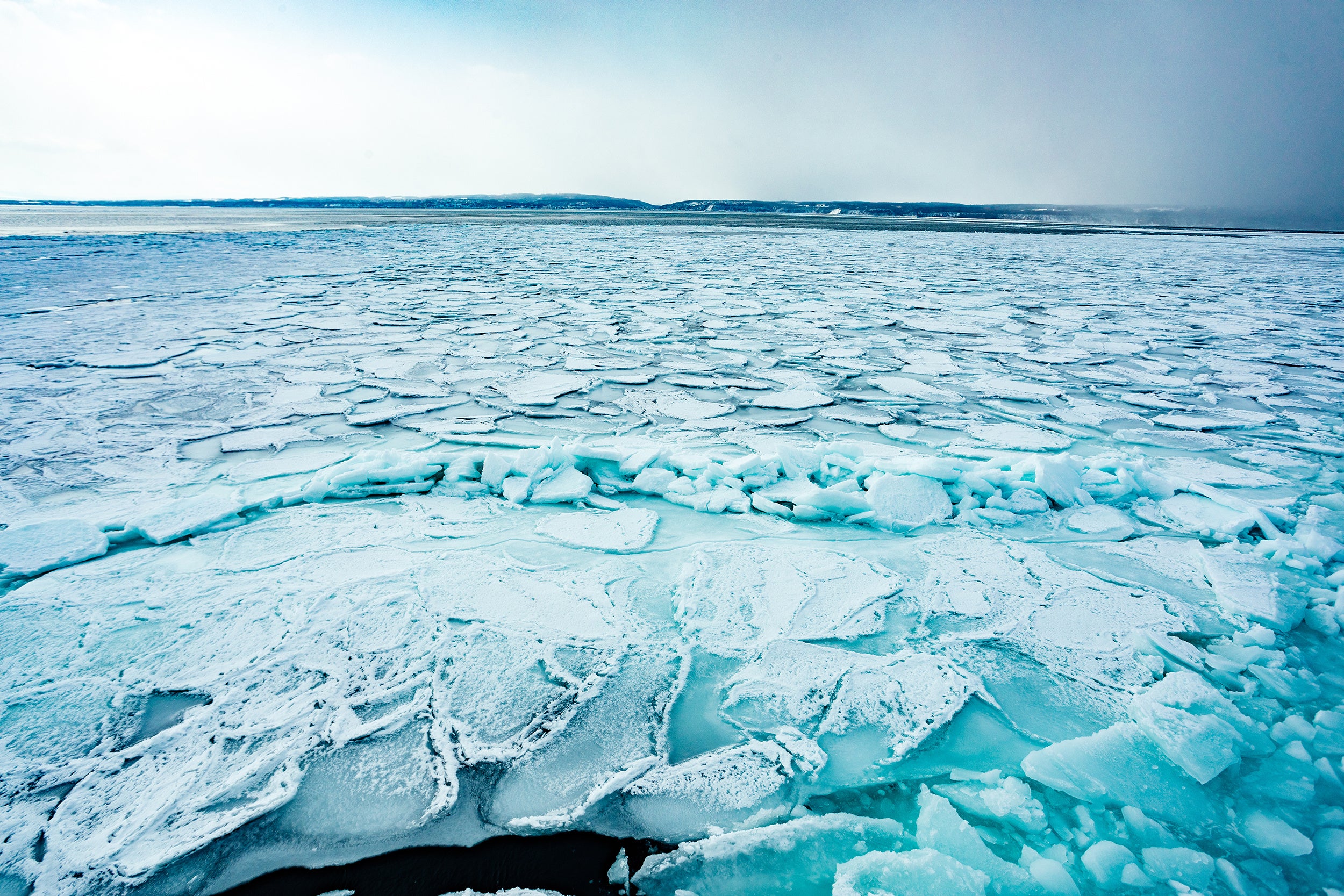 （画像はイメージです）