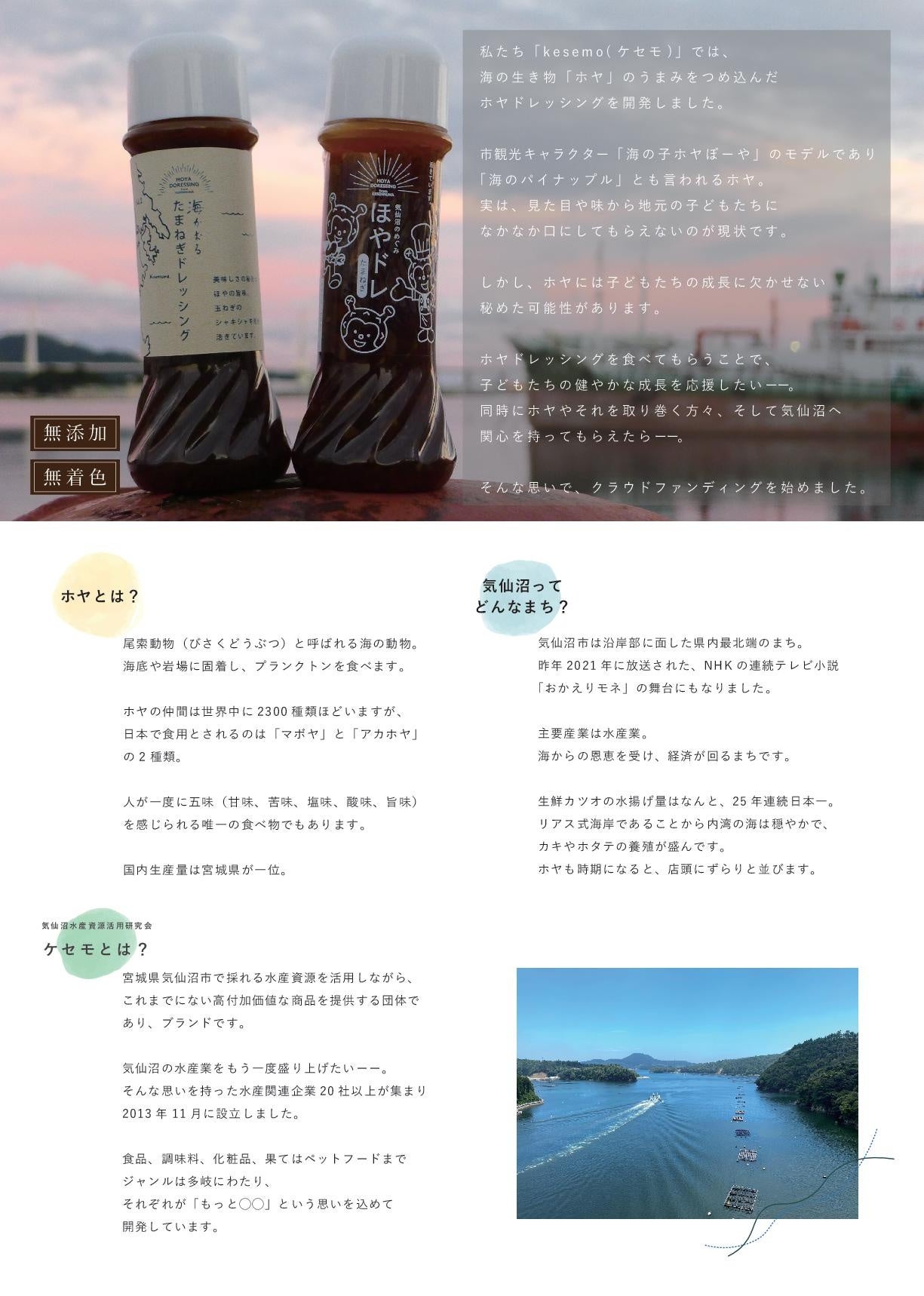 クラウドファンディングPRチラシ（裏）