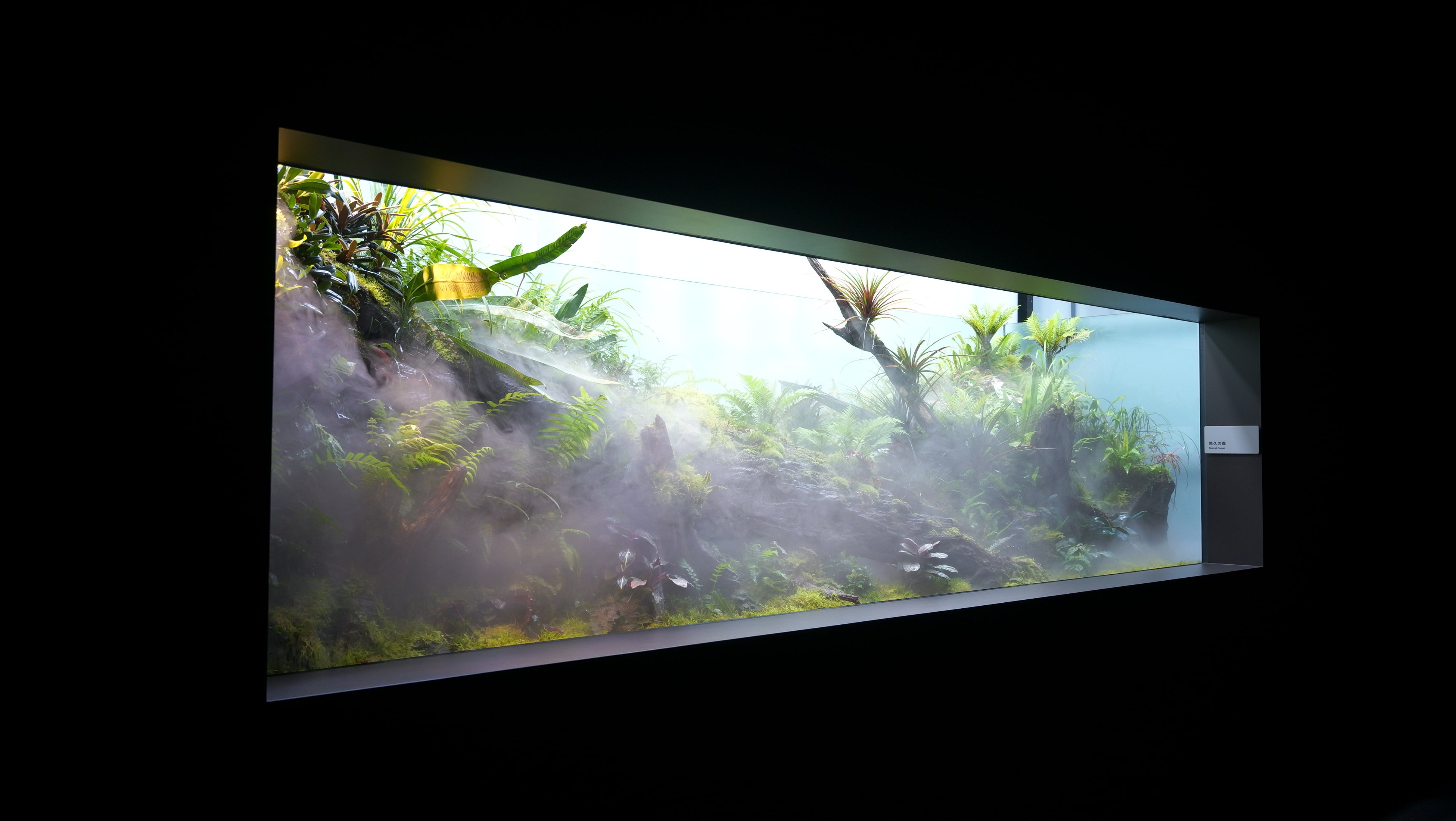 【「水はめぐる」のショータイム】