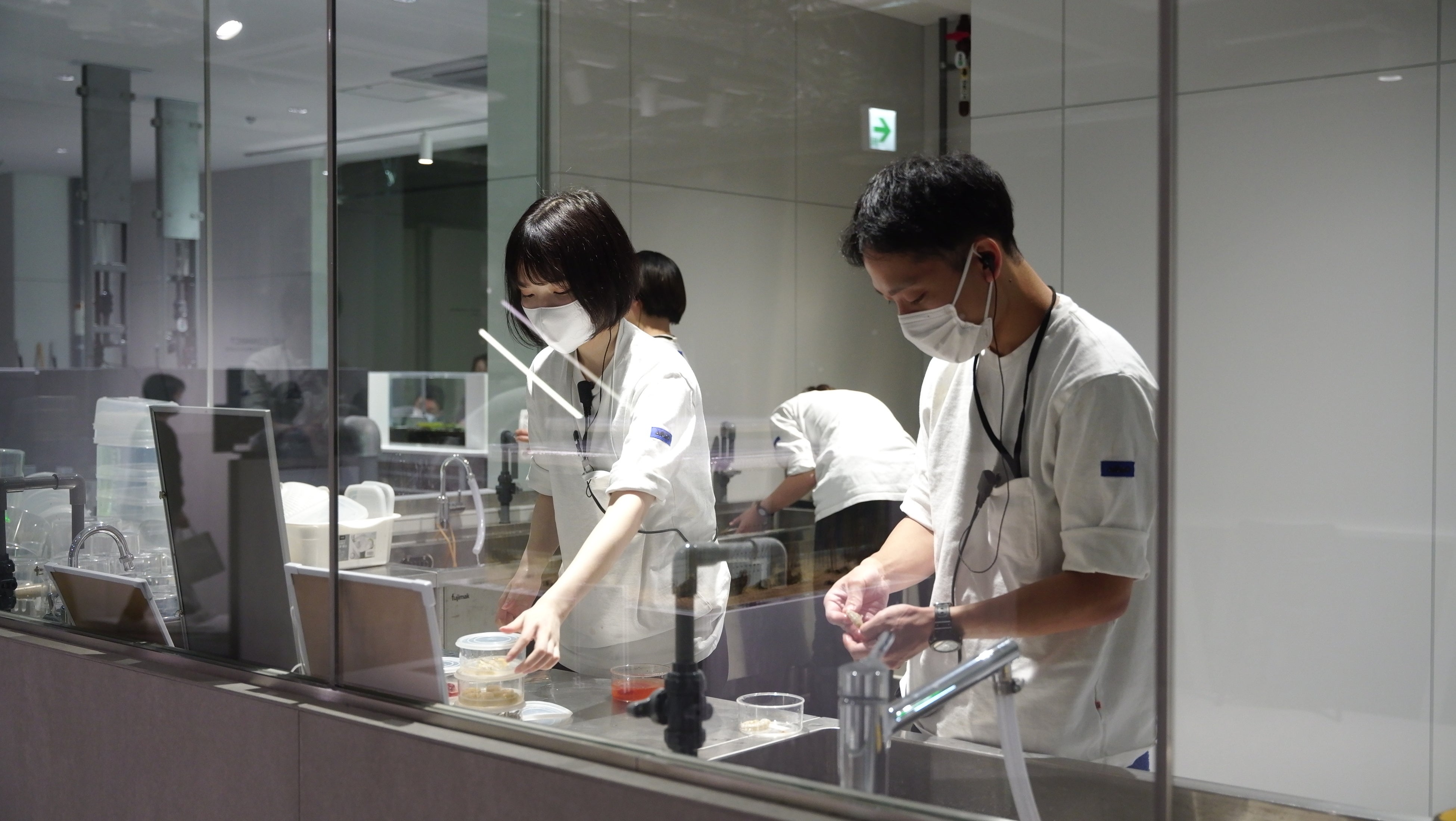 【生物の食事の準備をする生物担当スタッフ】