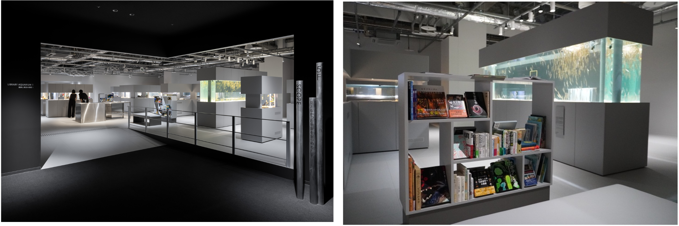 【水槽が立ち並ぶLIBRARY AQUARIUM（左）、水槽の近くにある展示生物に関連する本棚（右）】