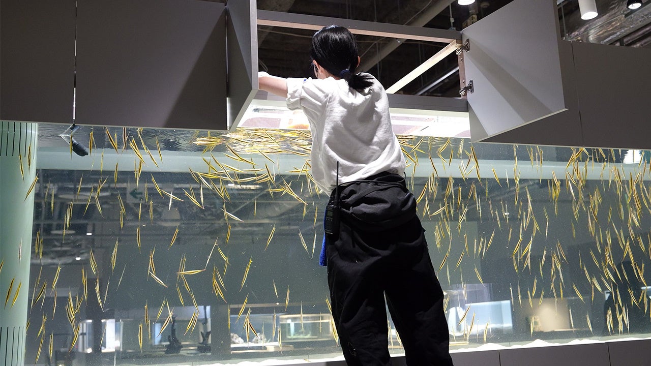 【ヘコアユの食事の様子】