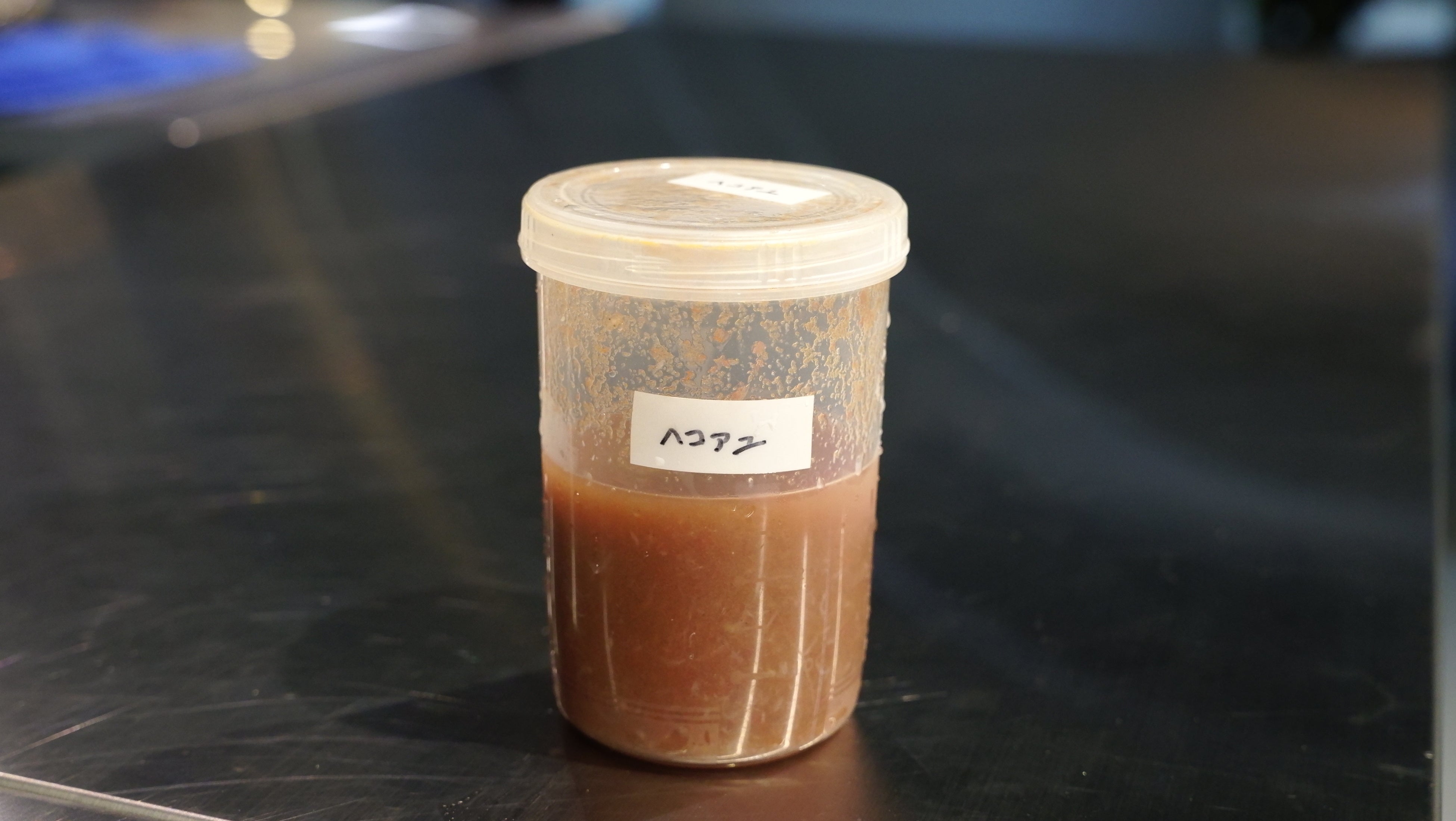 【ヘコアユの食べもの】