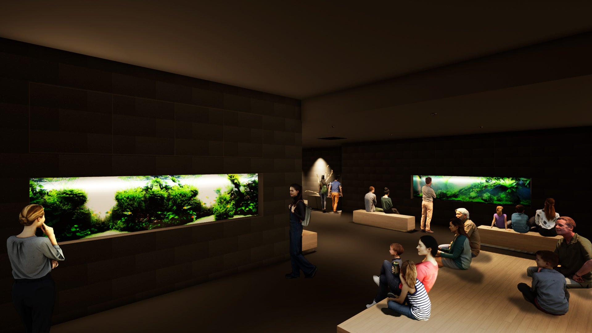 【ＡＯＡＯ　ＳＡＰＰＯＲＯの「ネイチャーアクアリウム」】※イメージ