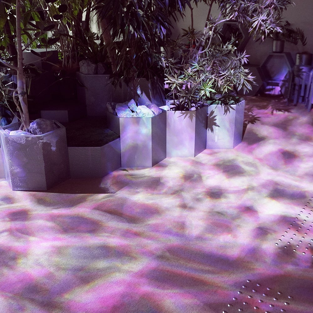 【夜桜アート※イメージ】