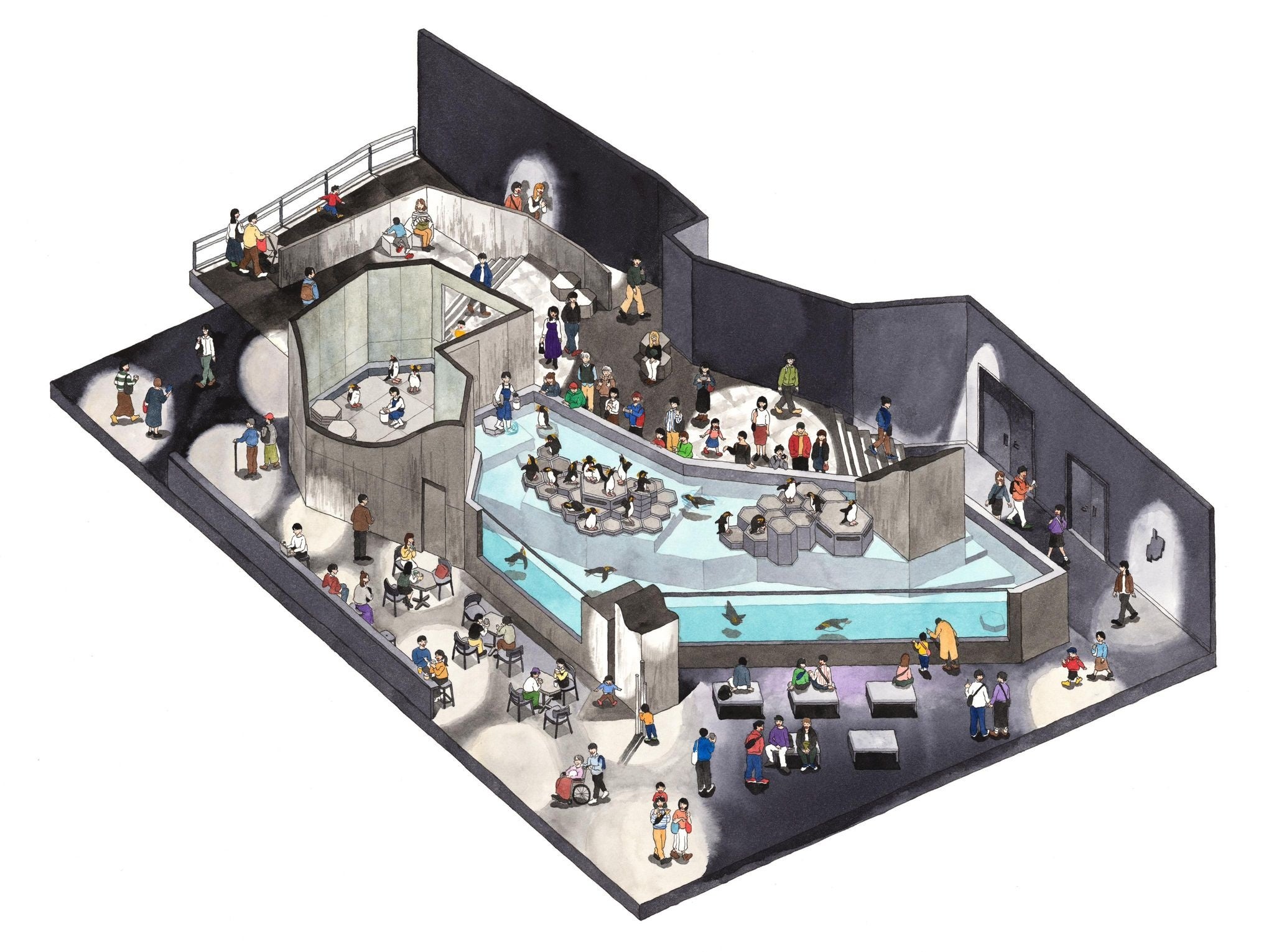 「水族館図解 AOAO SAPPORO」6F「PENGUINS ／ ペンギン」