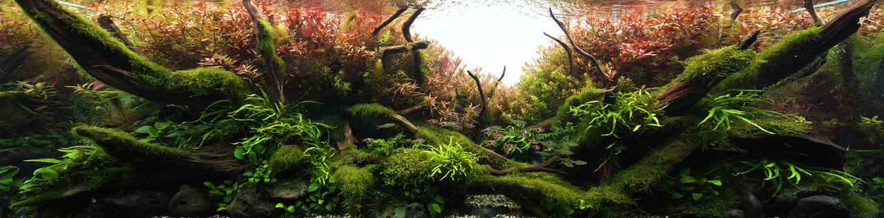 ※画像はイメージです。