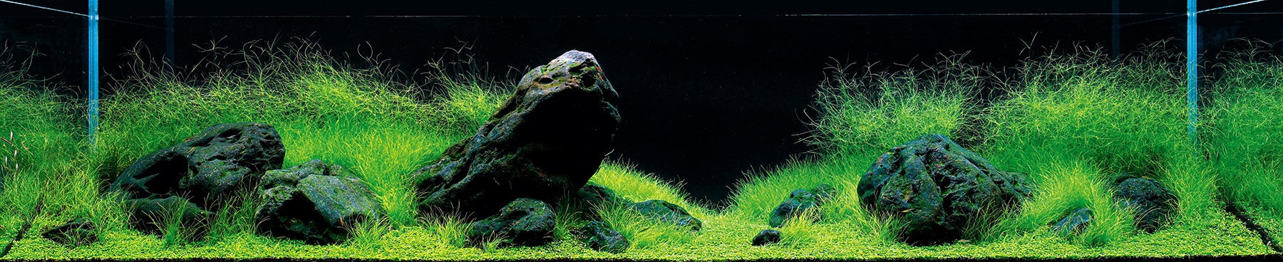 ※画像はイメージです。