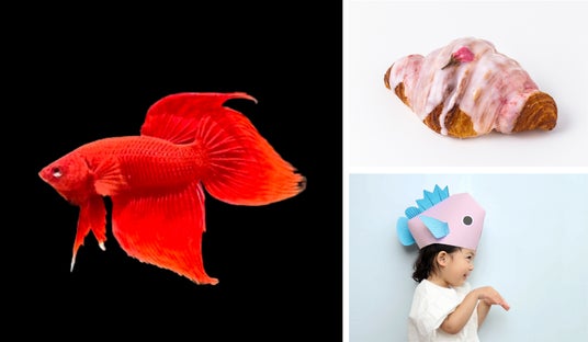 ヒレー!ヒレー!ヒレがあればなんでもできる 北海道の新生活を大応援、『春のすいぞくかん 2026』を開催! ヒレー!ヒレー!ヒレがあればなんでもできる 北海道の新生活を大応援、『春のすいぞくかん 2026』を開催!