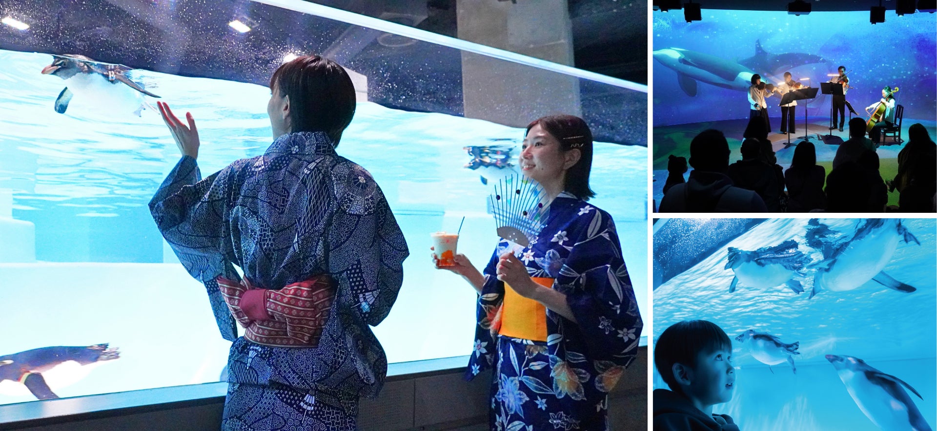 開幕三週年慶典!水族館攜手多元文化推出夜間活動「大進化!AOAO SAPPORO 夏夜不睡8日祭」7月18日登場