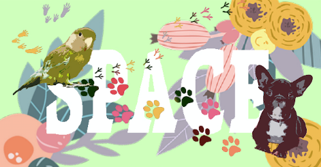 アーティスト河野真弓氏の シャッターペイントアート