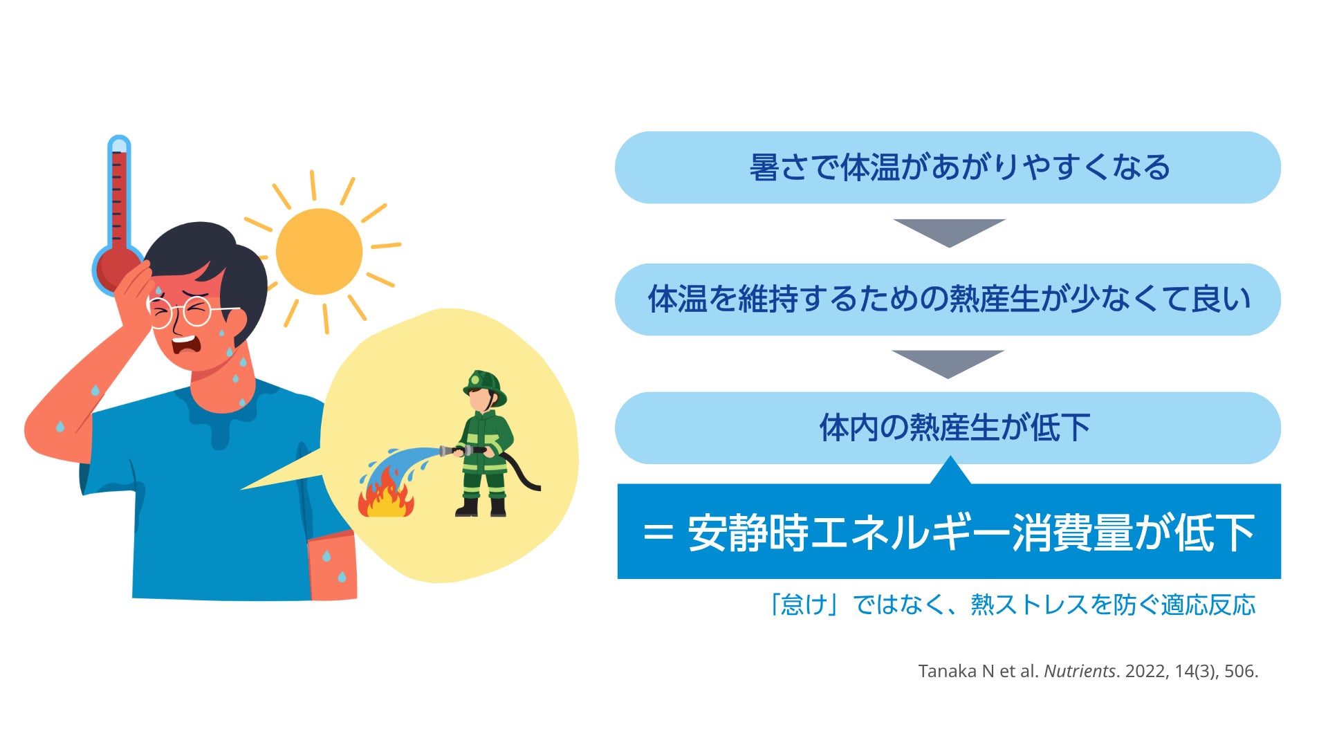 猛暑に潜む“カラダの省エネ化” 見落とされがちな「安静時エネルギー 猛暑に潜む“カラダの省エネ化” 見落とされがちな「安静時エネルギー