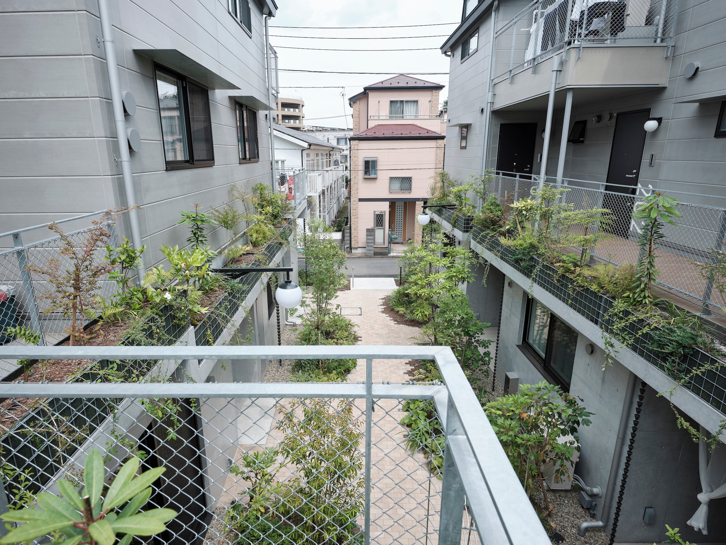 地面だけでなく、建物2階の壁面にも植栽を配し重層的な植栽を実現