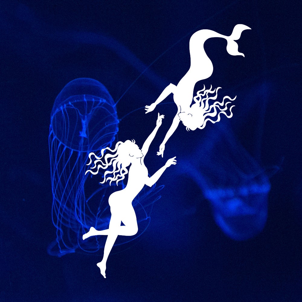 作品イメージより