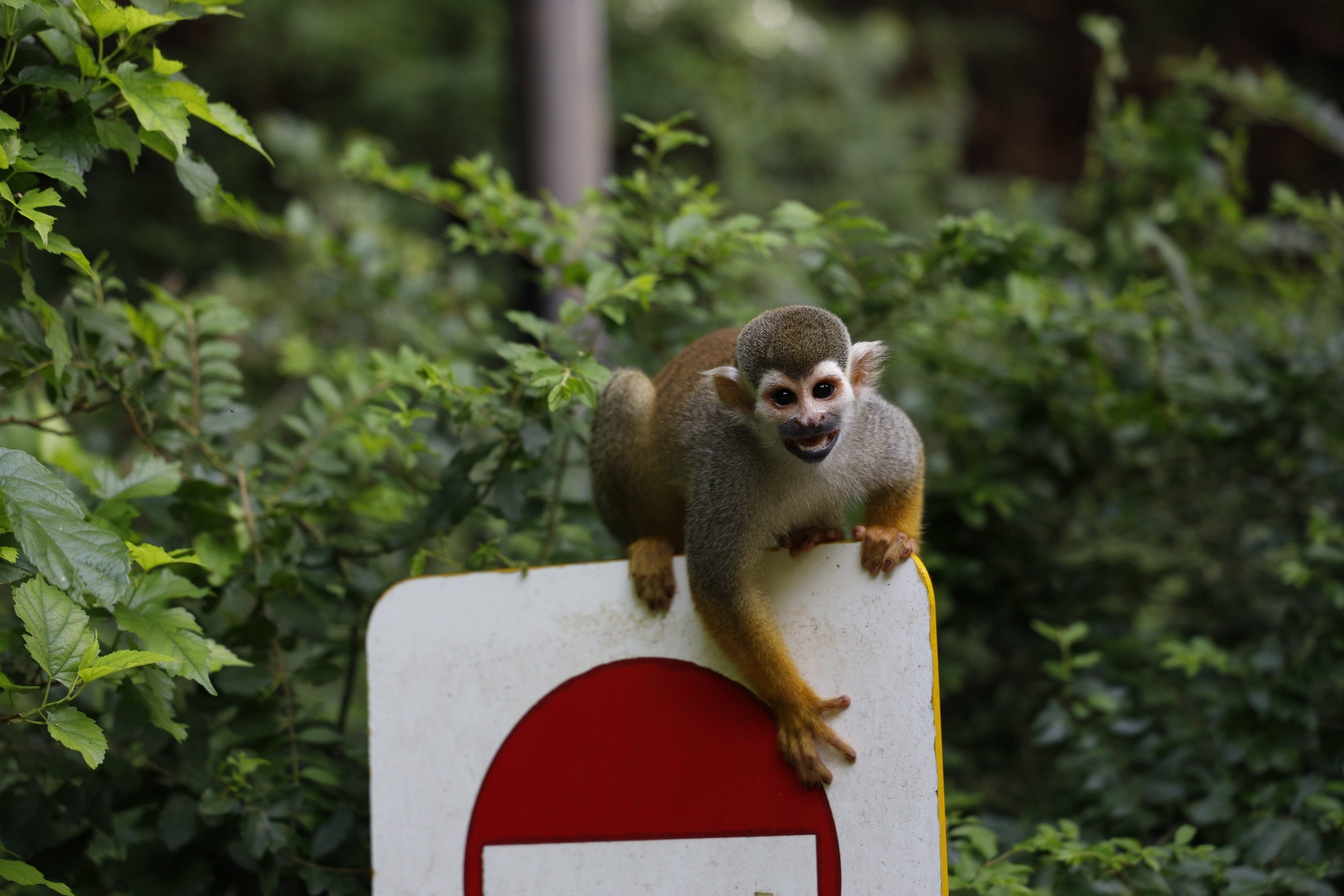 長崎バイオパーク　イメージ1
