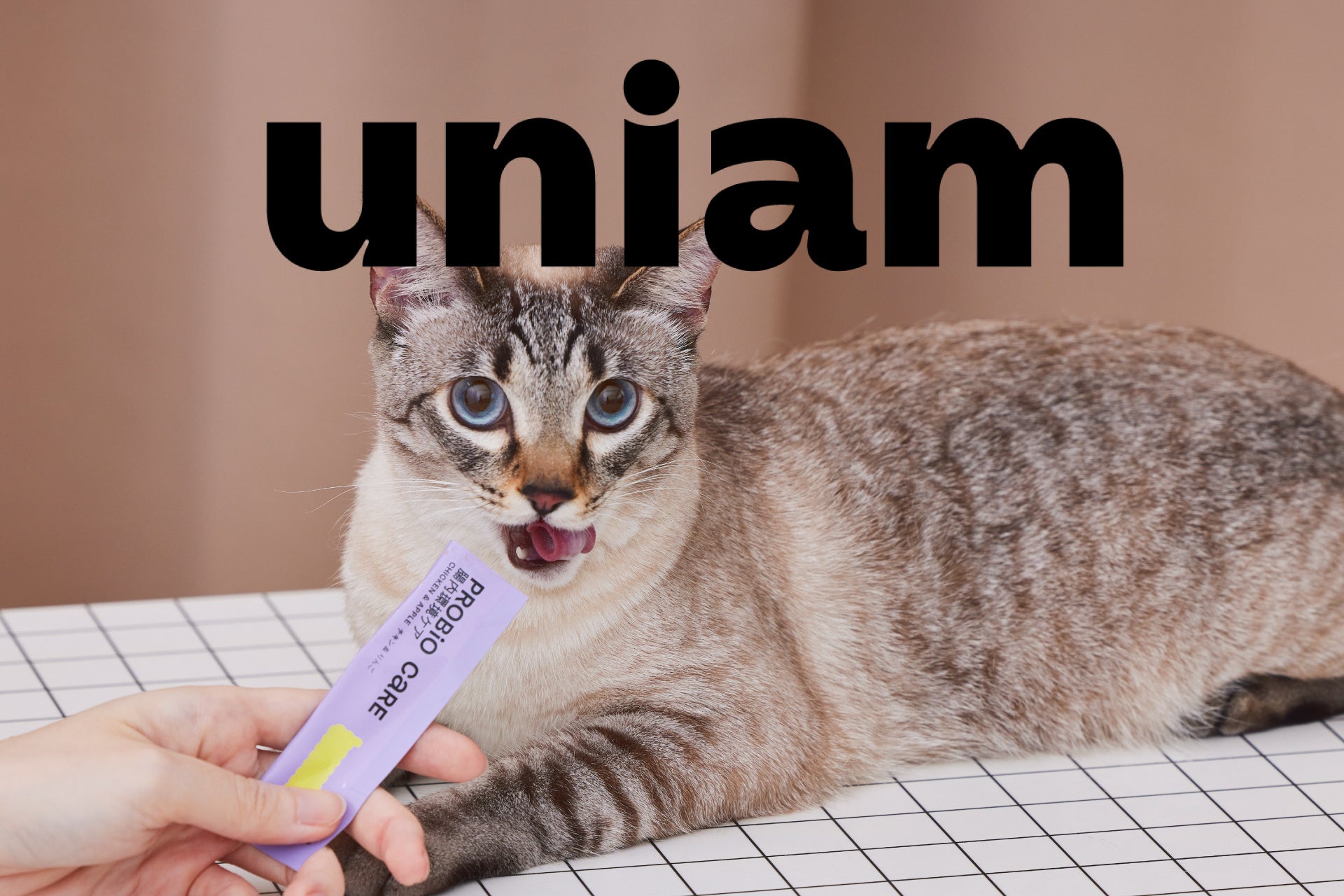 ユニアム　ピュアピューレ デンタルケア　 30本入り3箱 定期便】ピュアピューレ デンタルケア – uniam（ユニアム）