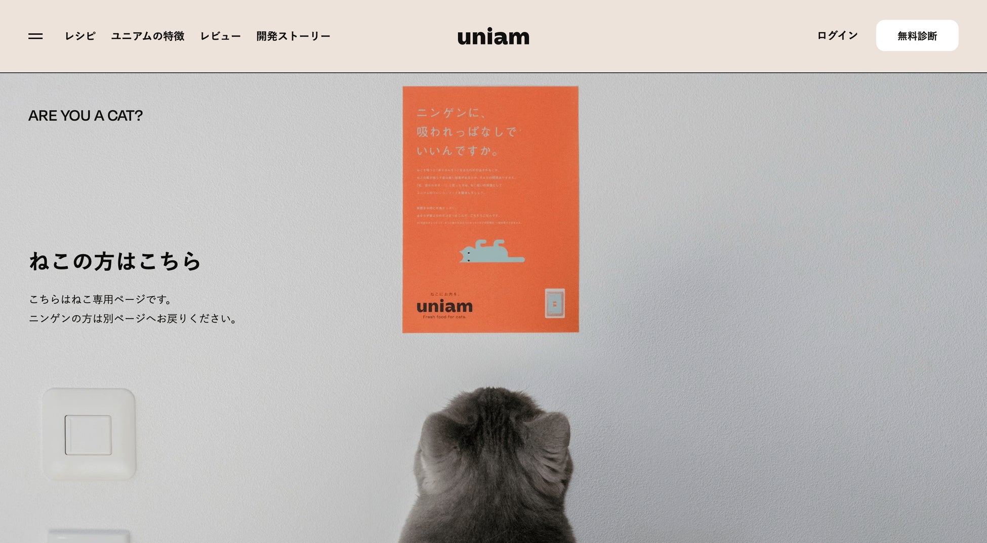 kuroneko様、専用ページです。 めこ様専用ページ 黒猫さん専用 kuroneko様、専用ページです。 めこ様専用ページ 黒猫さん専用