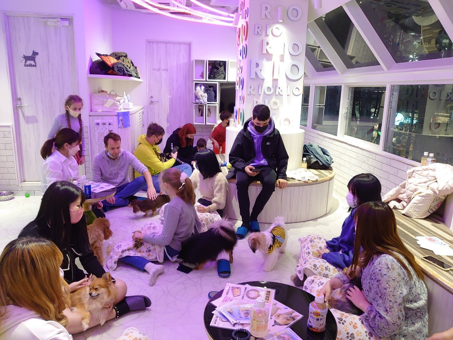 ウクライナ避難民のためのアニマルカフェでのT.A.A.A.