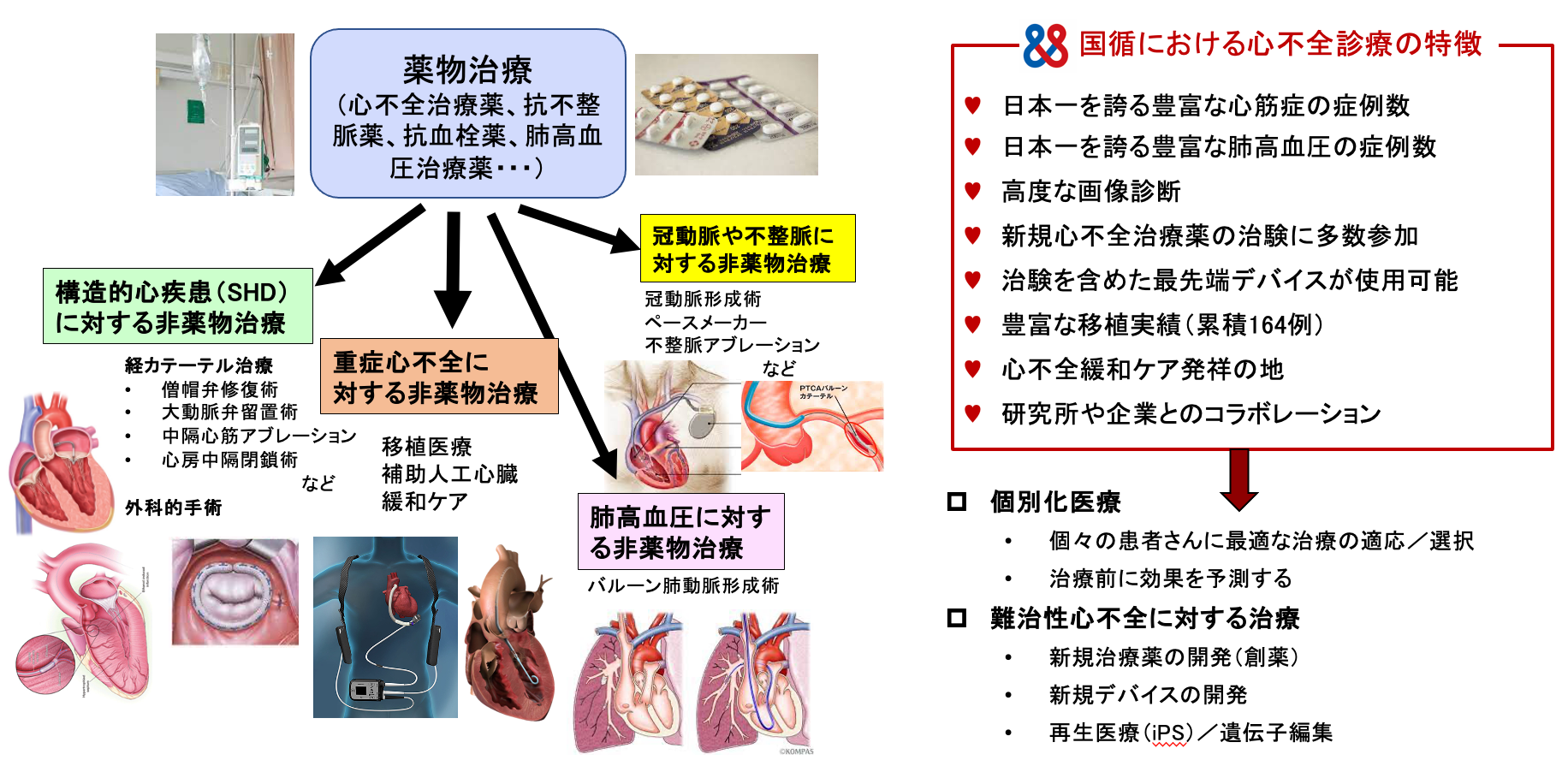 先進心不全センター