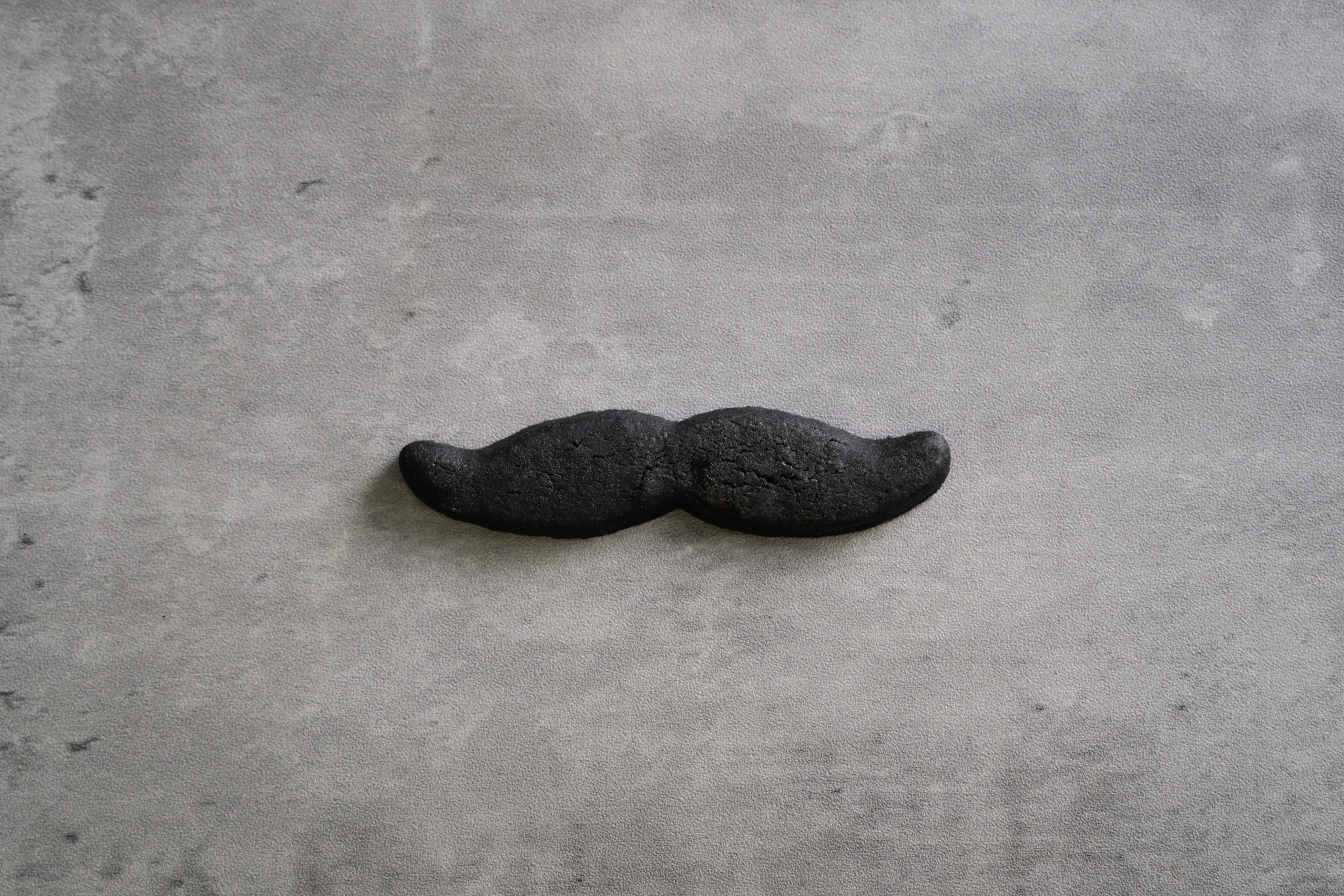 ティラミスロールケーキ