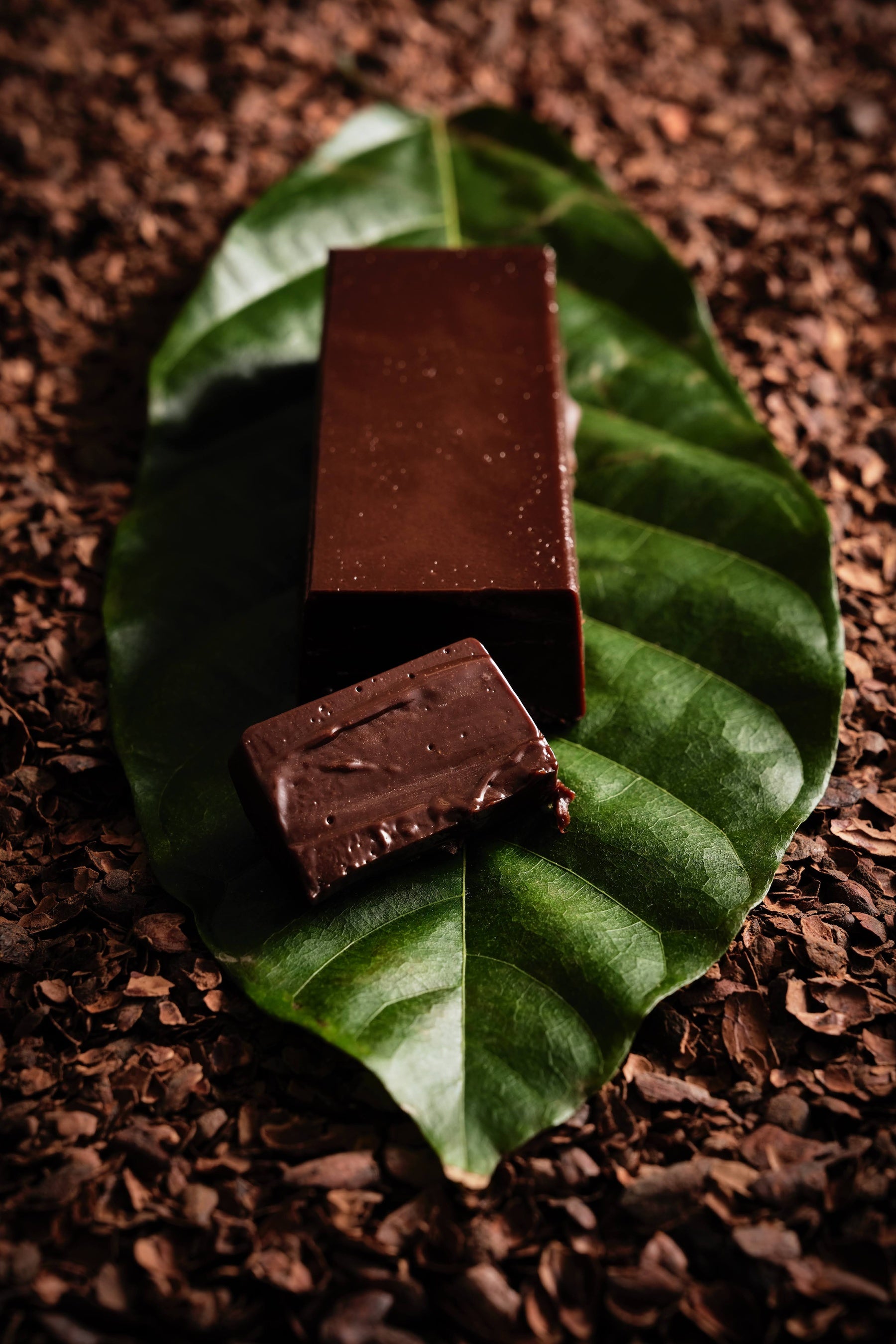 LE CHOCOLAT DE HFARM to BAR　テリーヌドゥショコラ