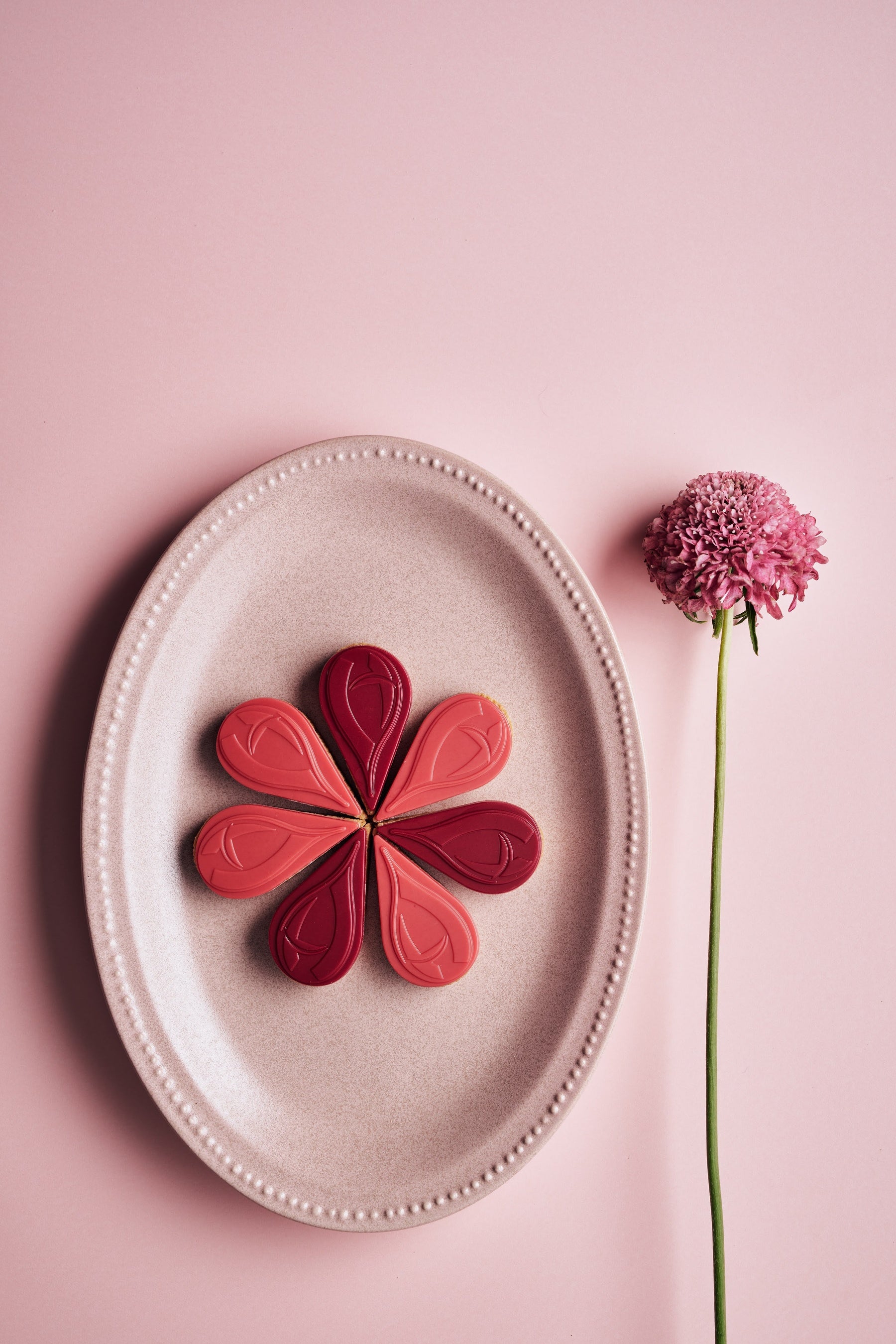 カカオペタル ママン