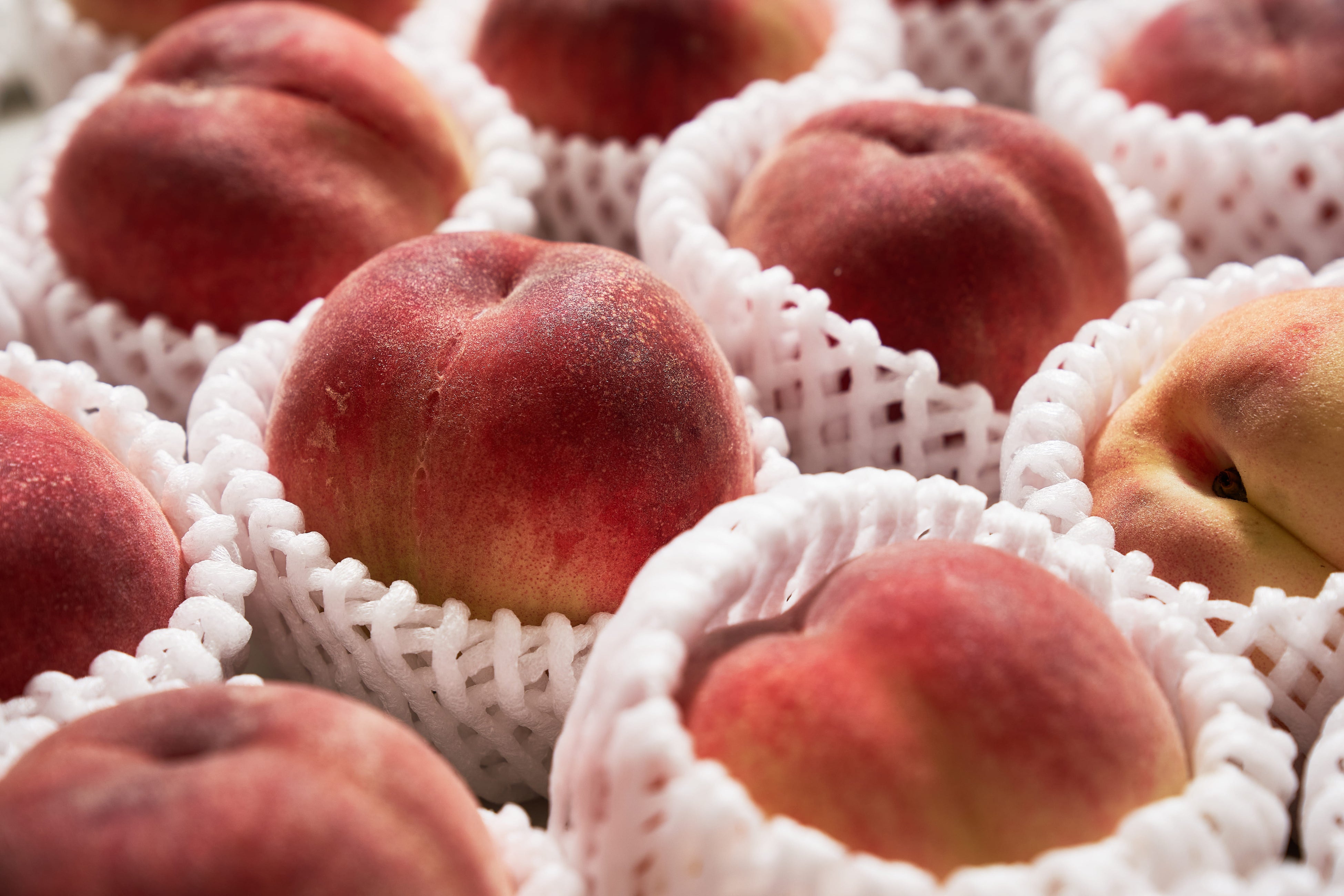 タルトペッシュ