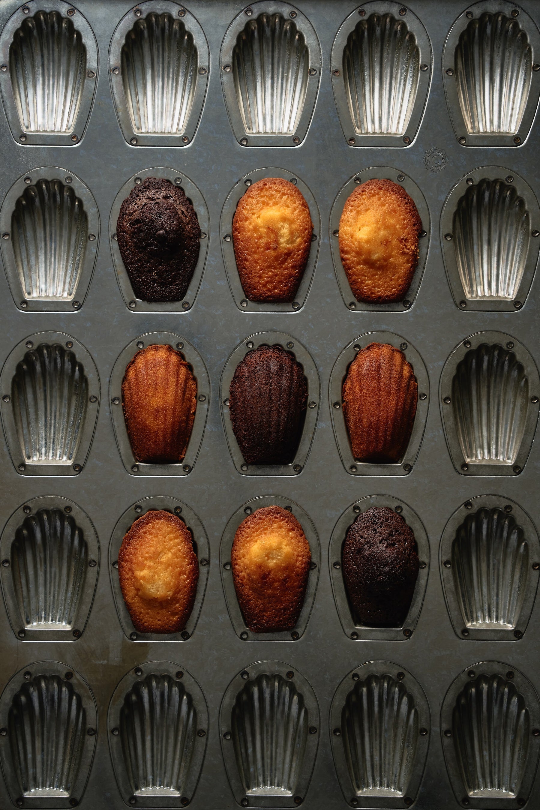 焼き立てマドレーヌ