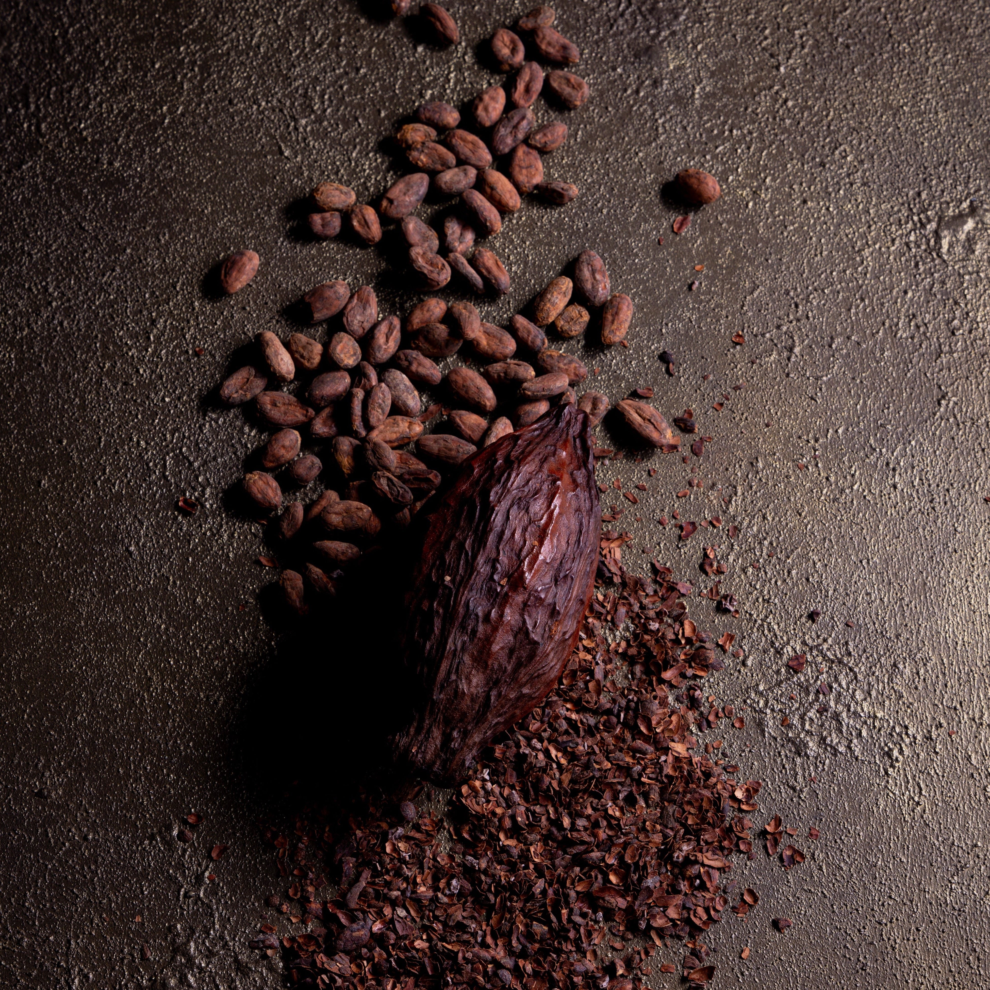 【LE CHOCOLAT DE H】贈る2024バレンタインコレクション