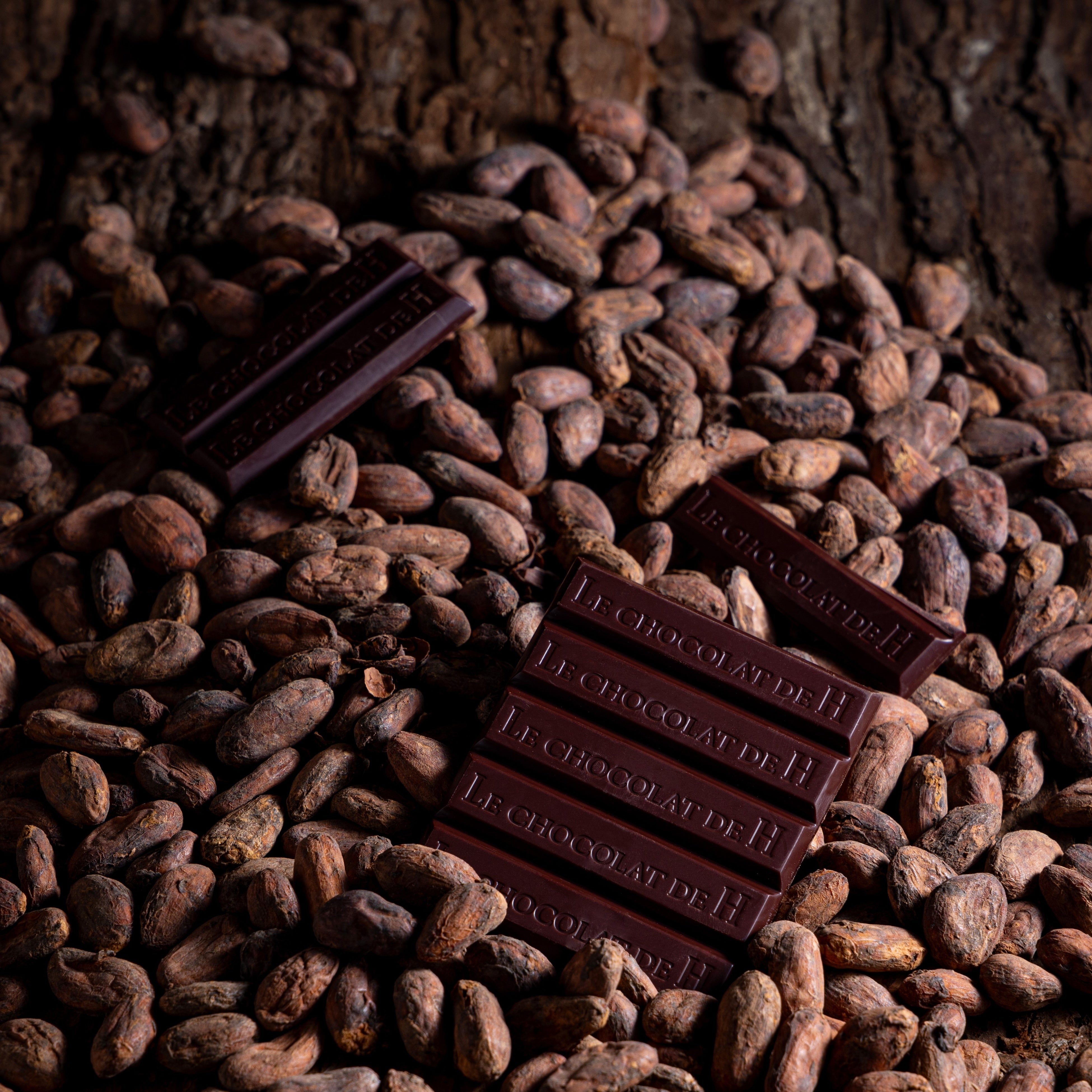 FARM to BAR　タブレットショコラ