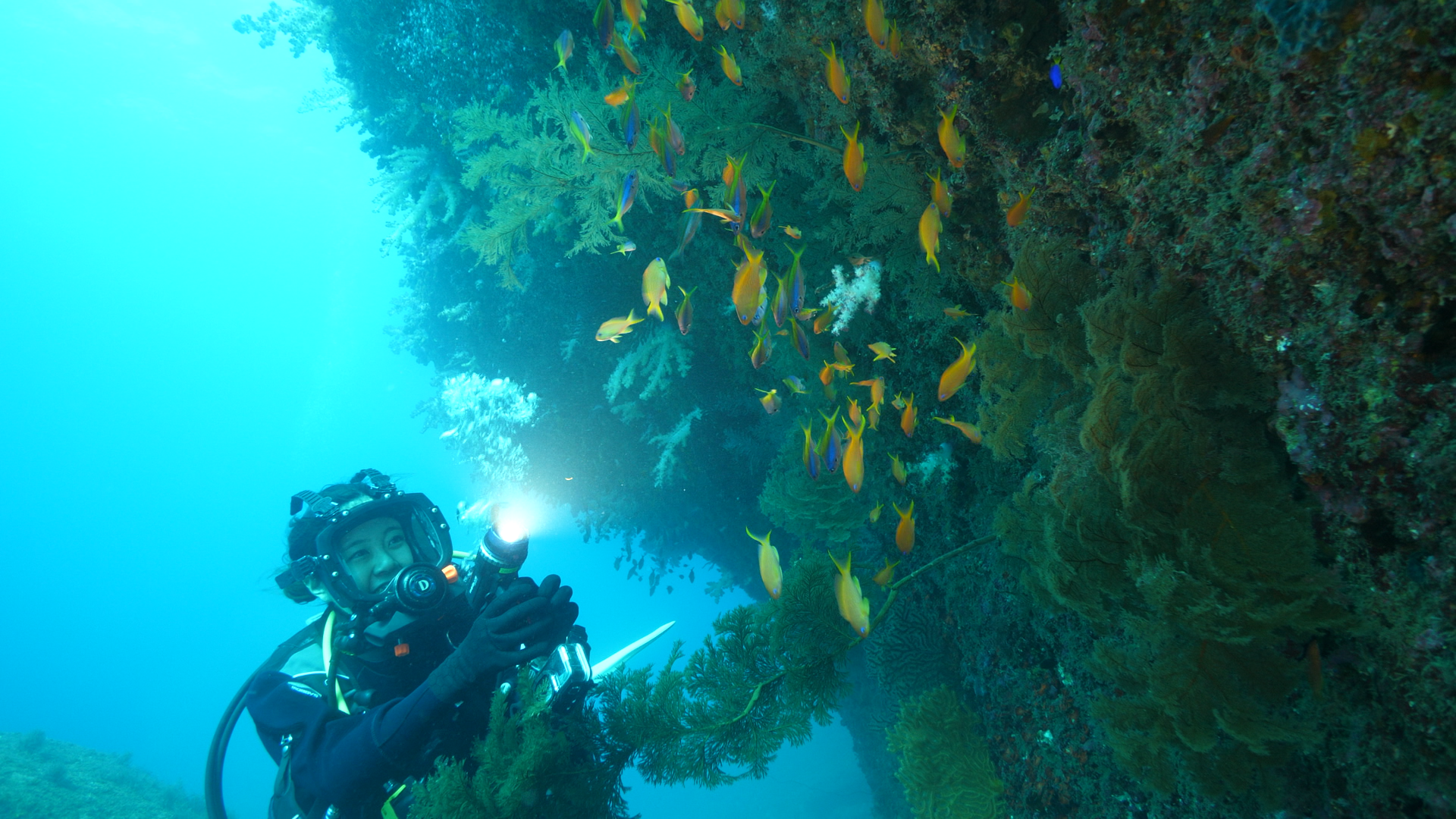 今回の舞台は伊豆半島！ 実は西側と東側でまったく様子が異なります。