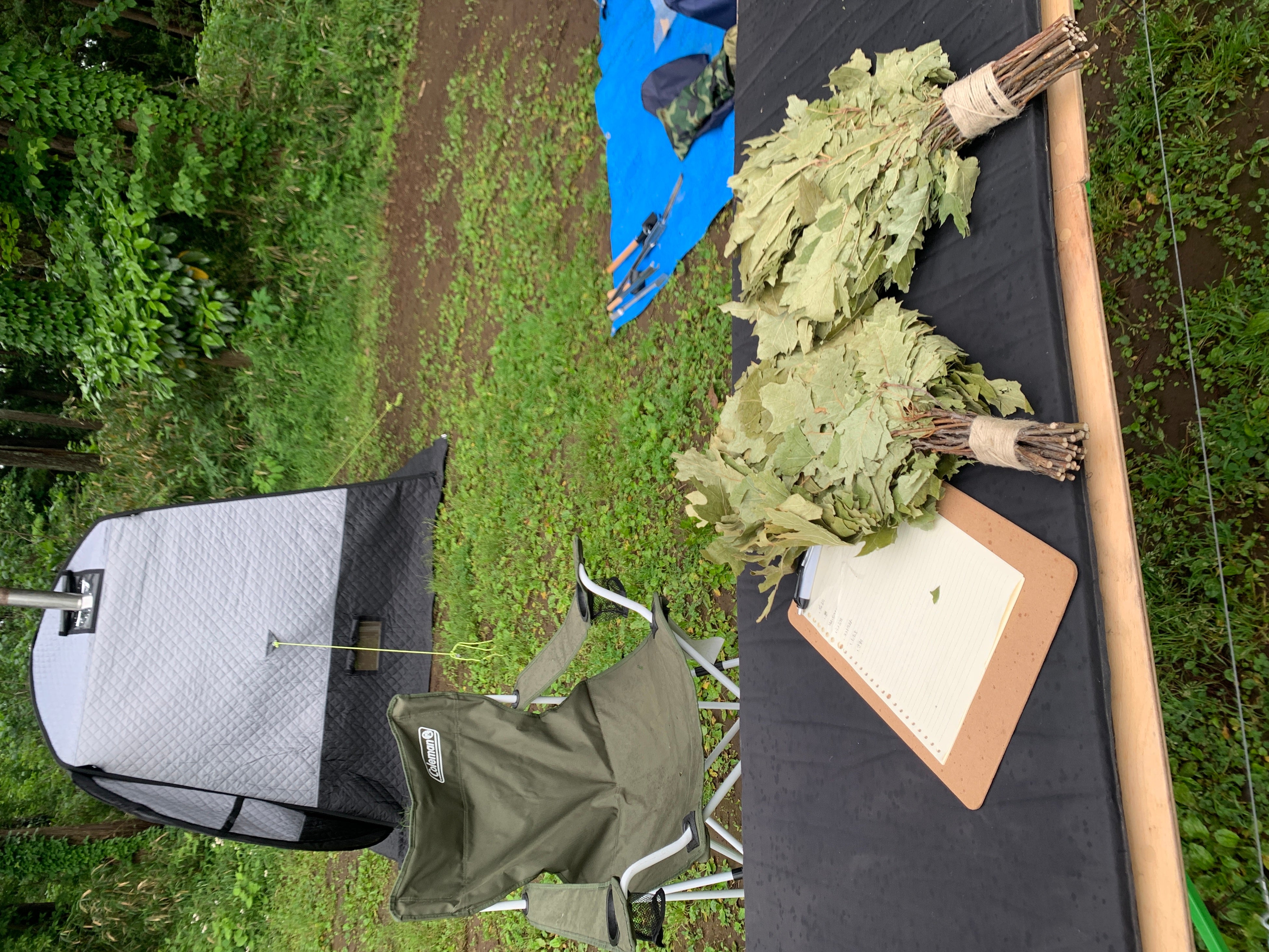 オフライン講習