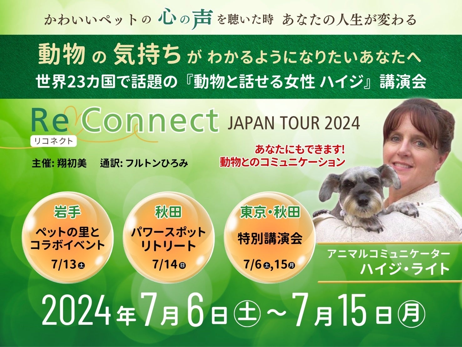 活動歴および当時の関連ビジュアル記録