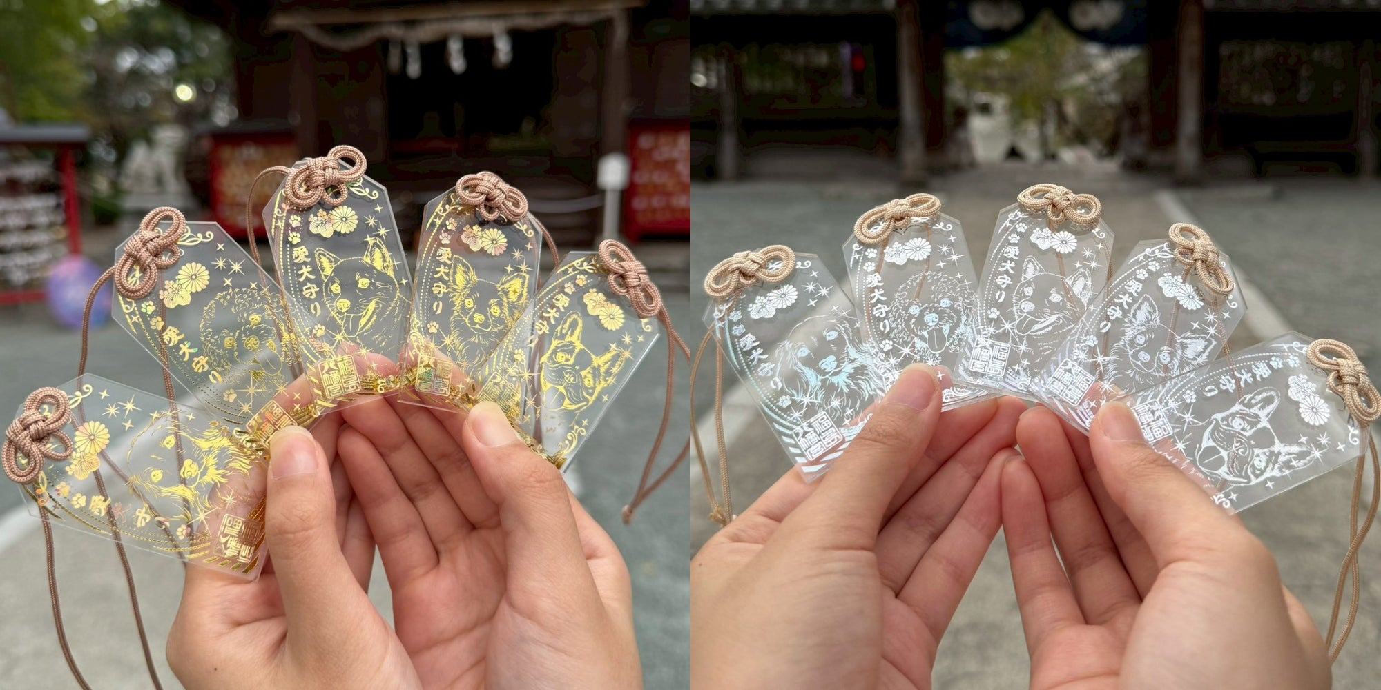 福島八幡宮「わんわんわんの日(11月1日)」にあわせて、新たな授与品 福島八幡宮「わんわんわんの日(11月1日)」にあわせて、新たな授与品