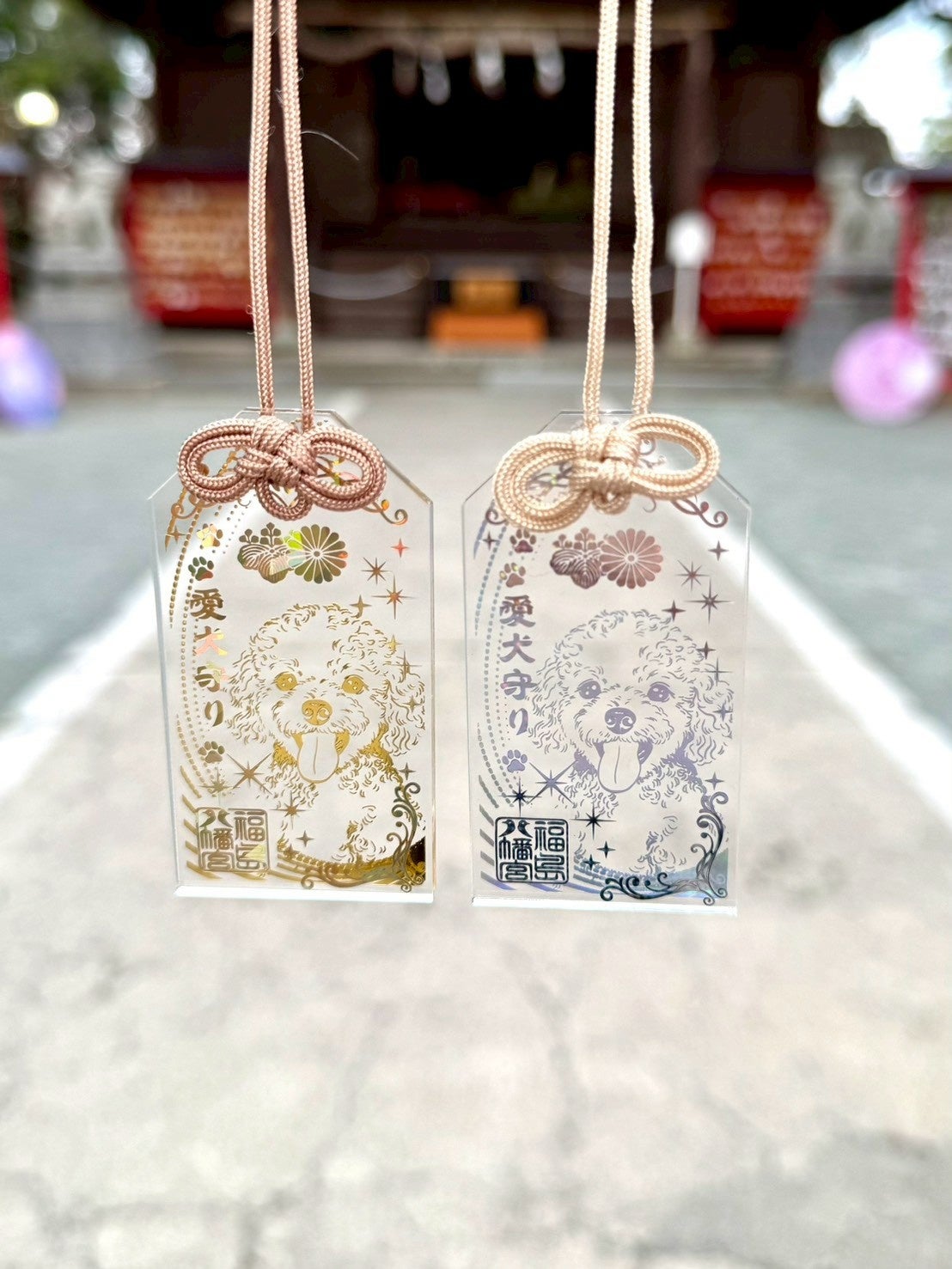 福島八幡宮「わんわんわんの日（11月1日）」にあわせて、新たな授与品