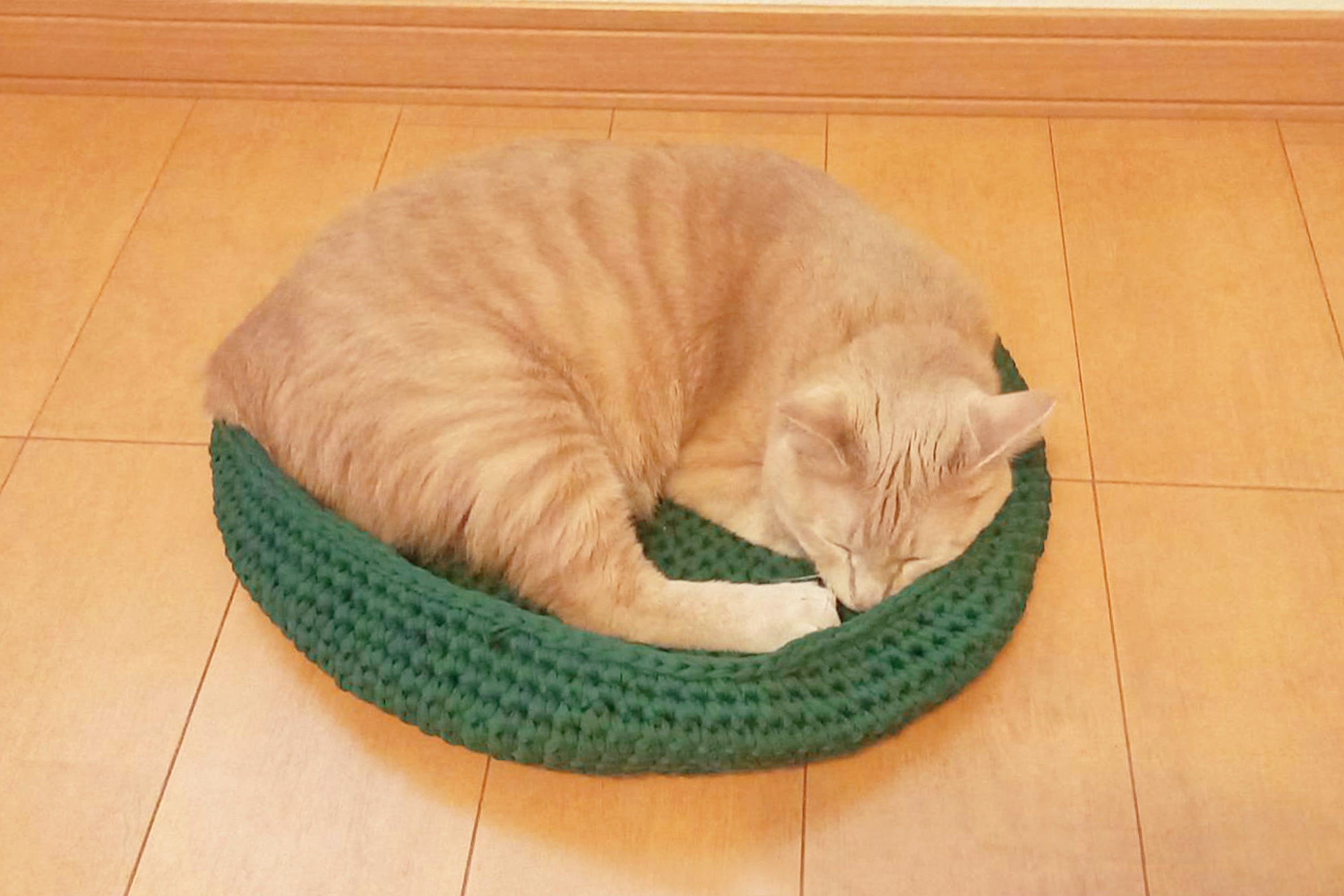 ニットヤーンはニットの持つ伸び縮みする性質を生かして、ネコハウスも？