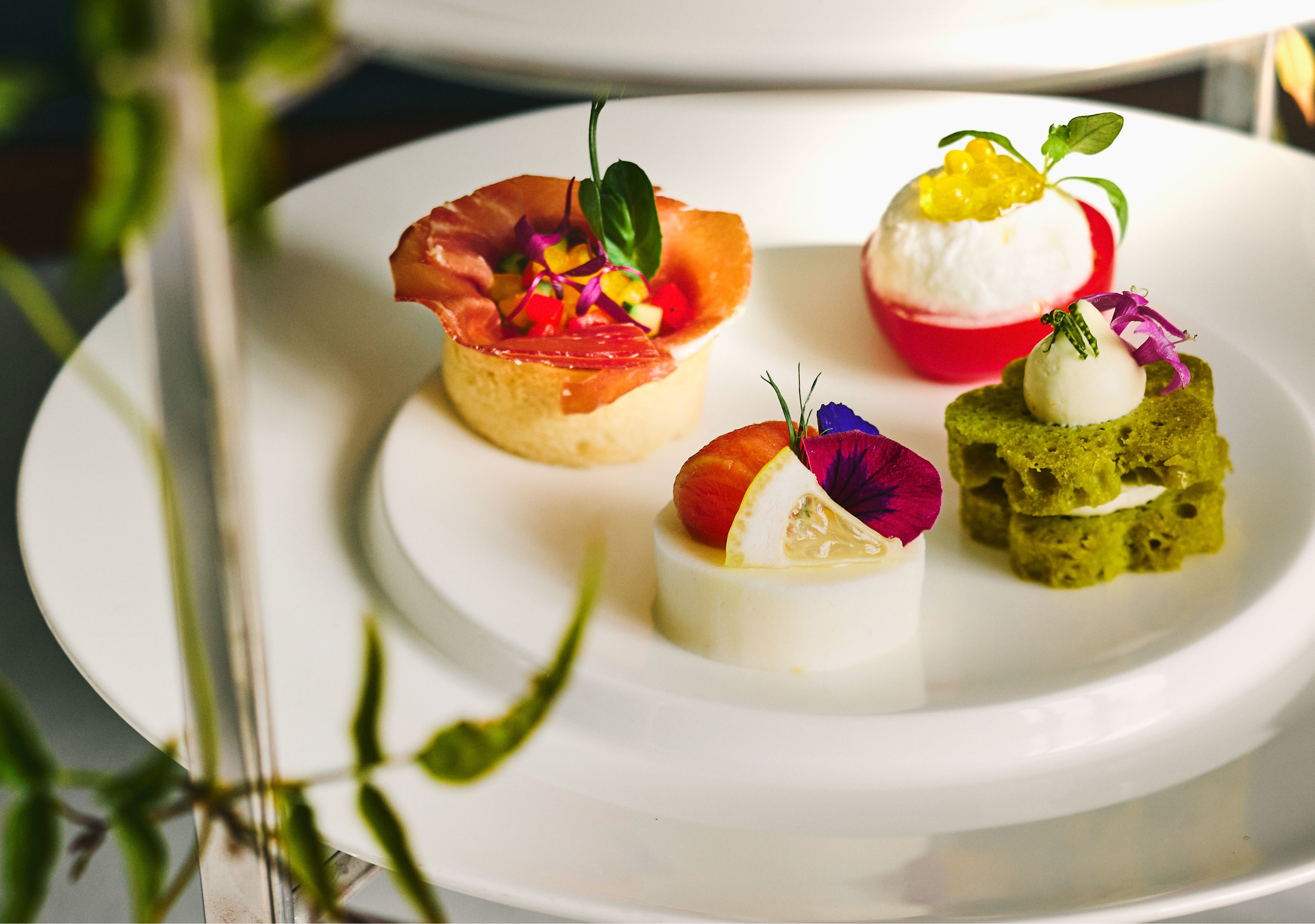 セイヴォリー４種　