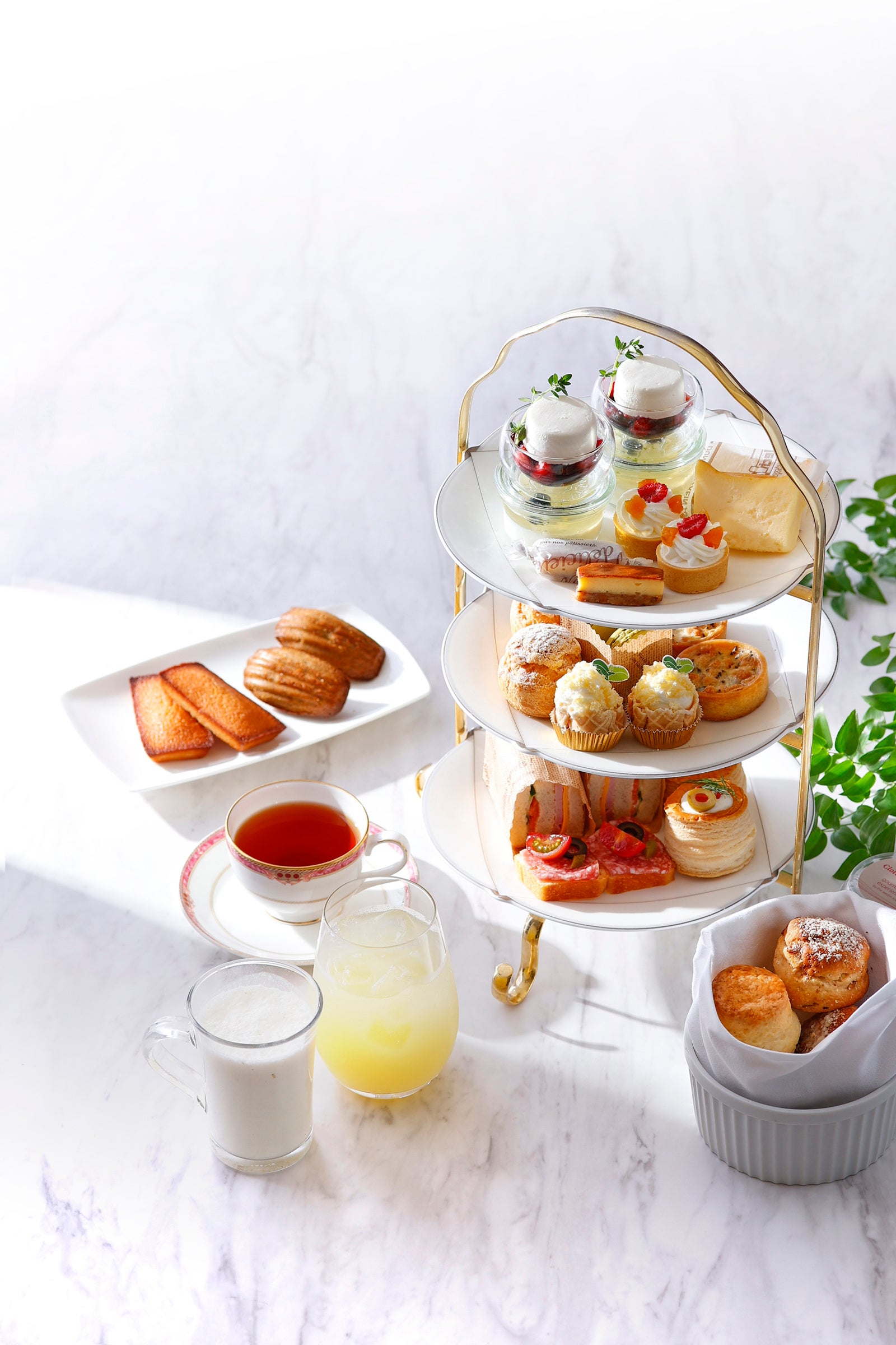 チーズケーキアフタヌーンティー